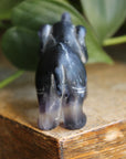 Fluorite elephant 4, new