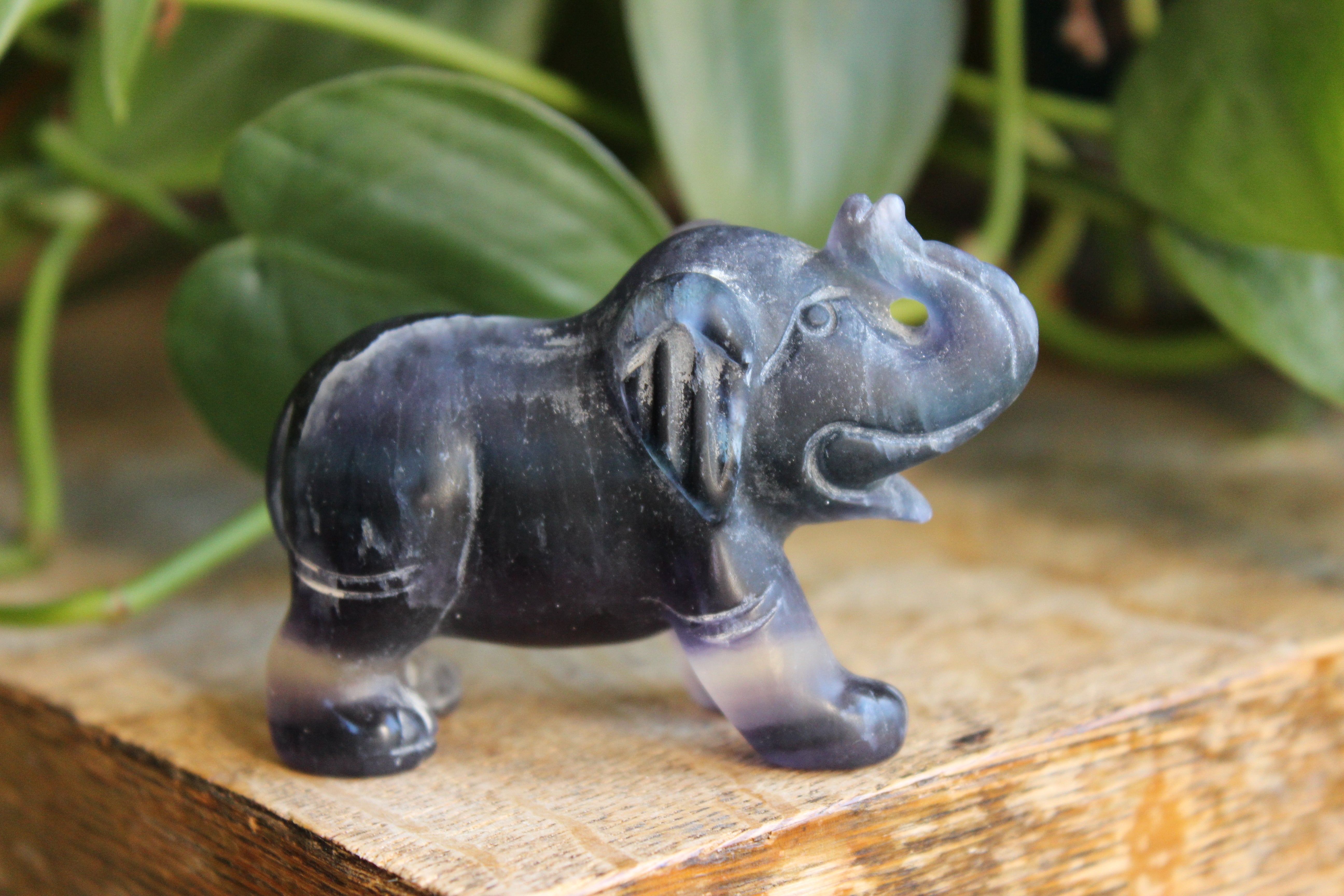 Fluorite elephant 4, new