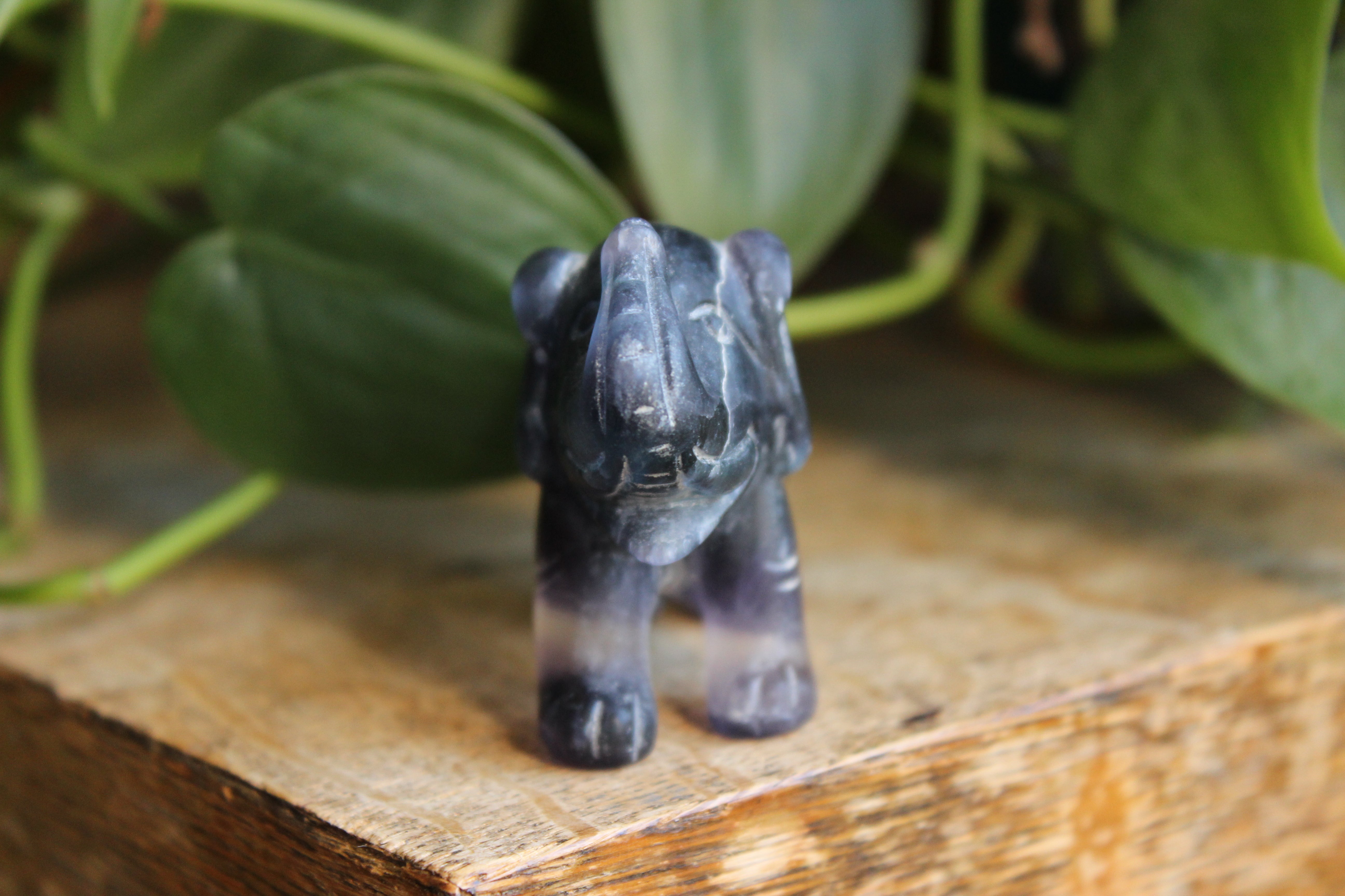 Fluorite elephant 4, new