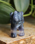 Fluorite elephant 4, new