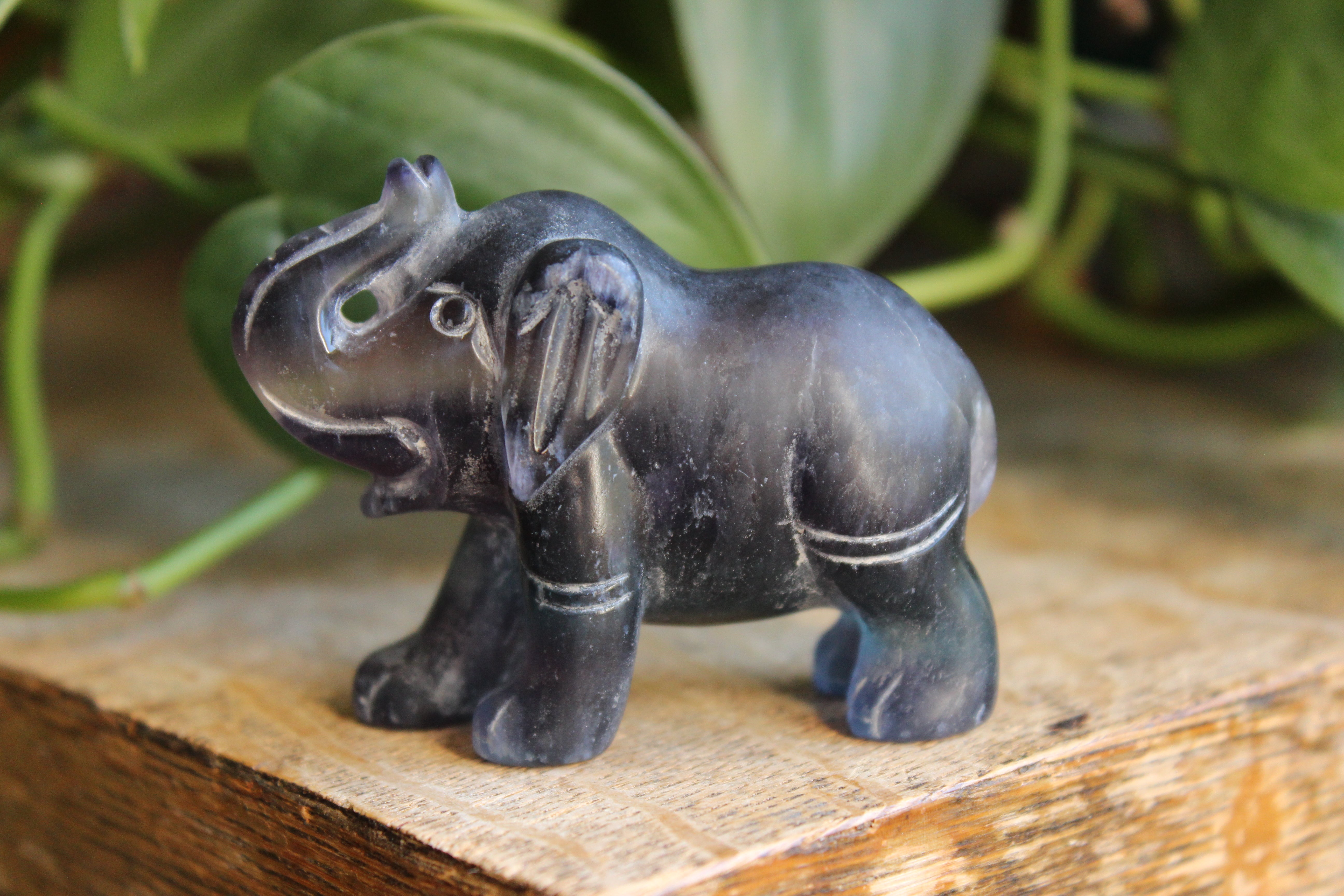 Fluorite elephant 5, new