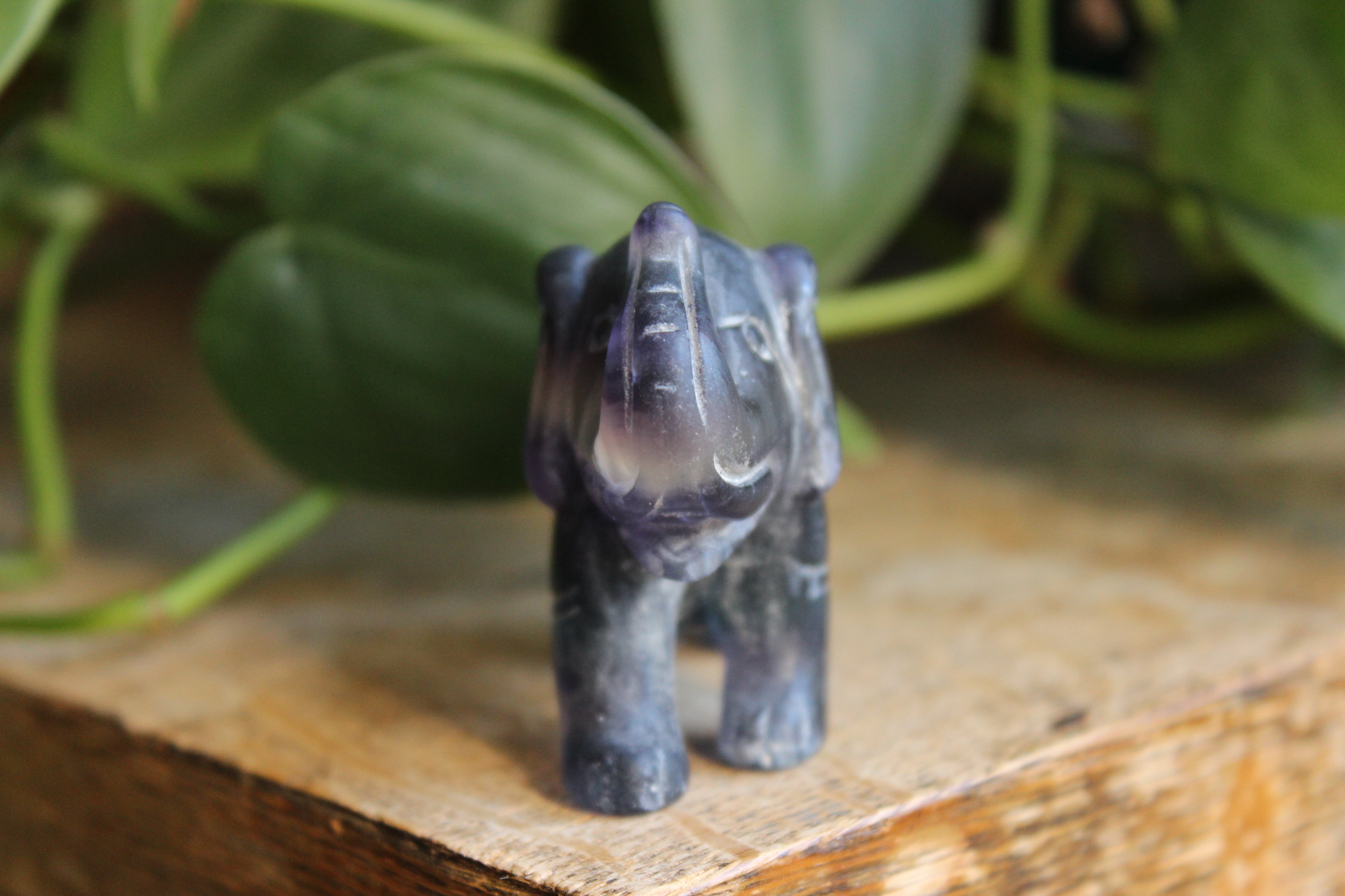 Fluorite elephant 5, new