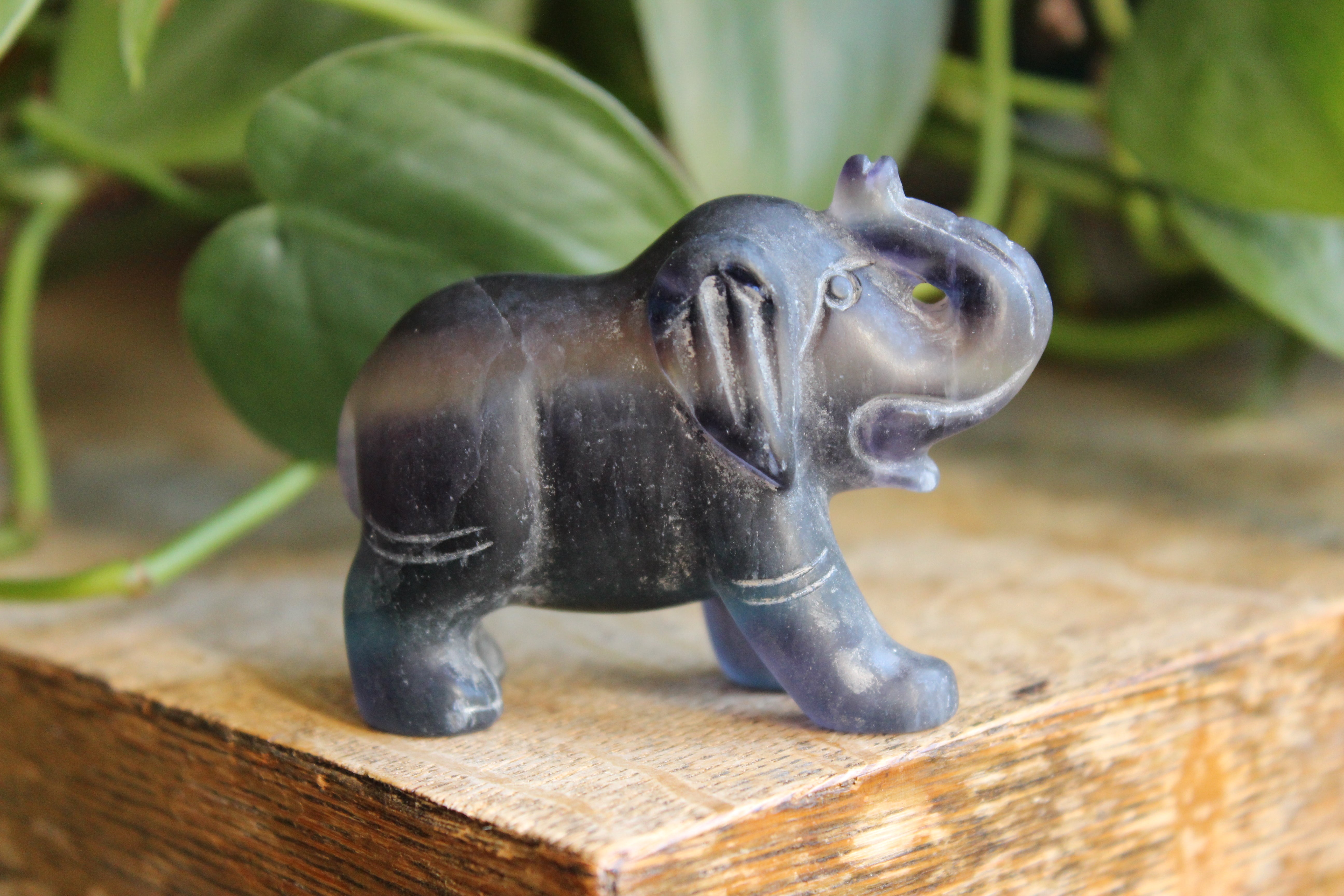 Fluorite elephant 5, new