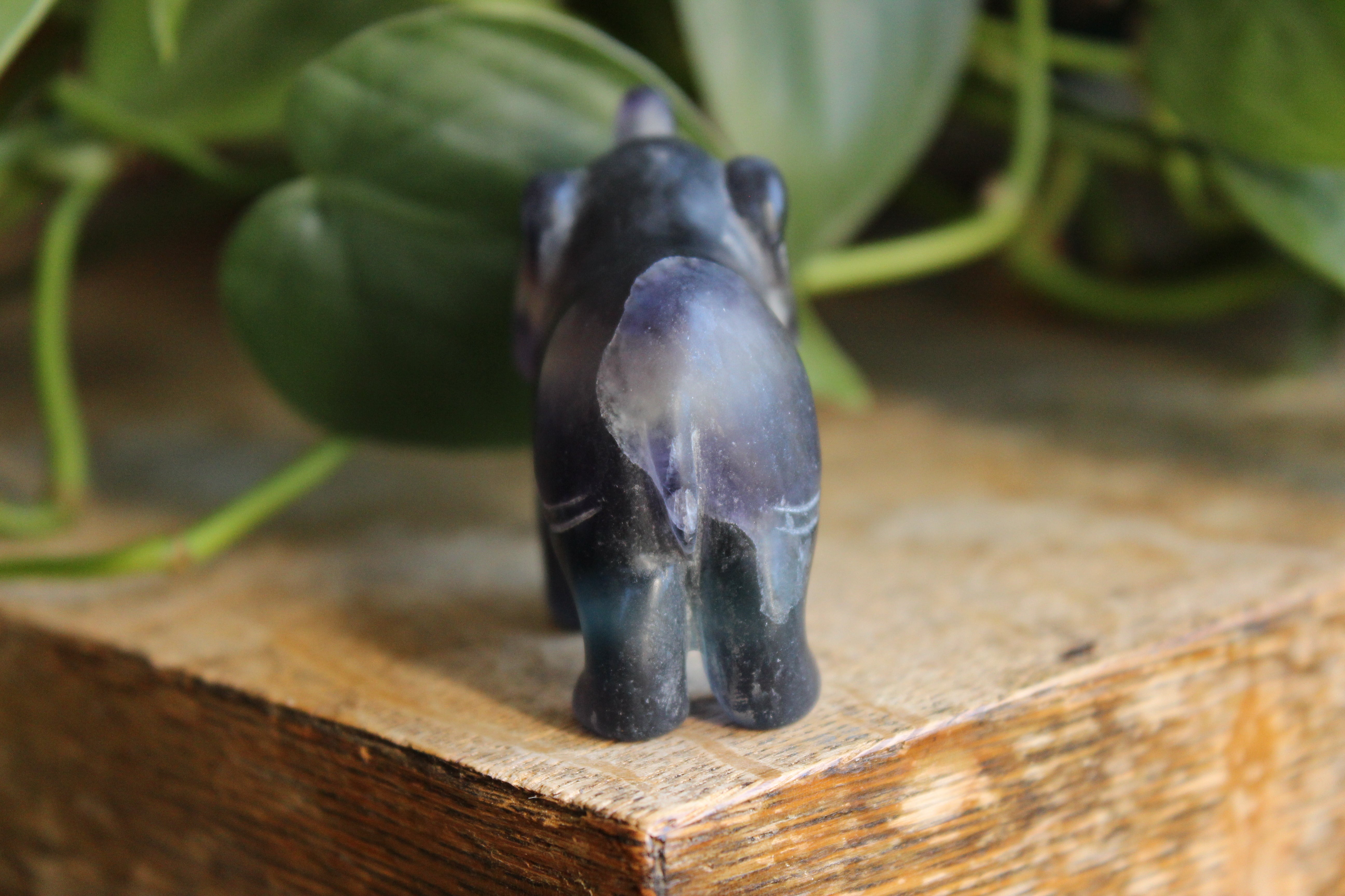 Fluorite elephant 5, new