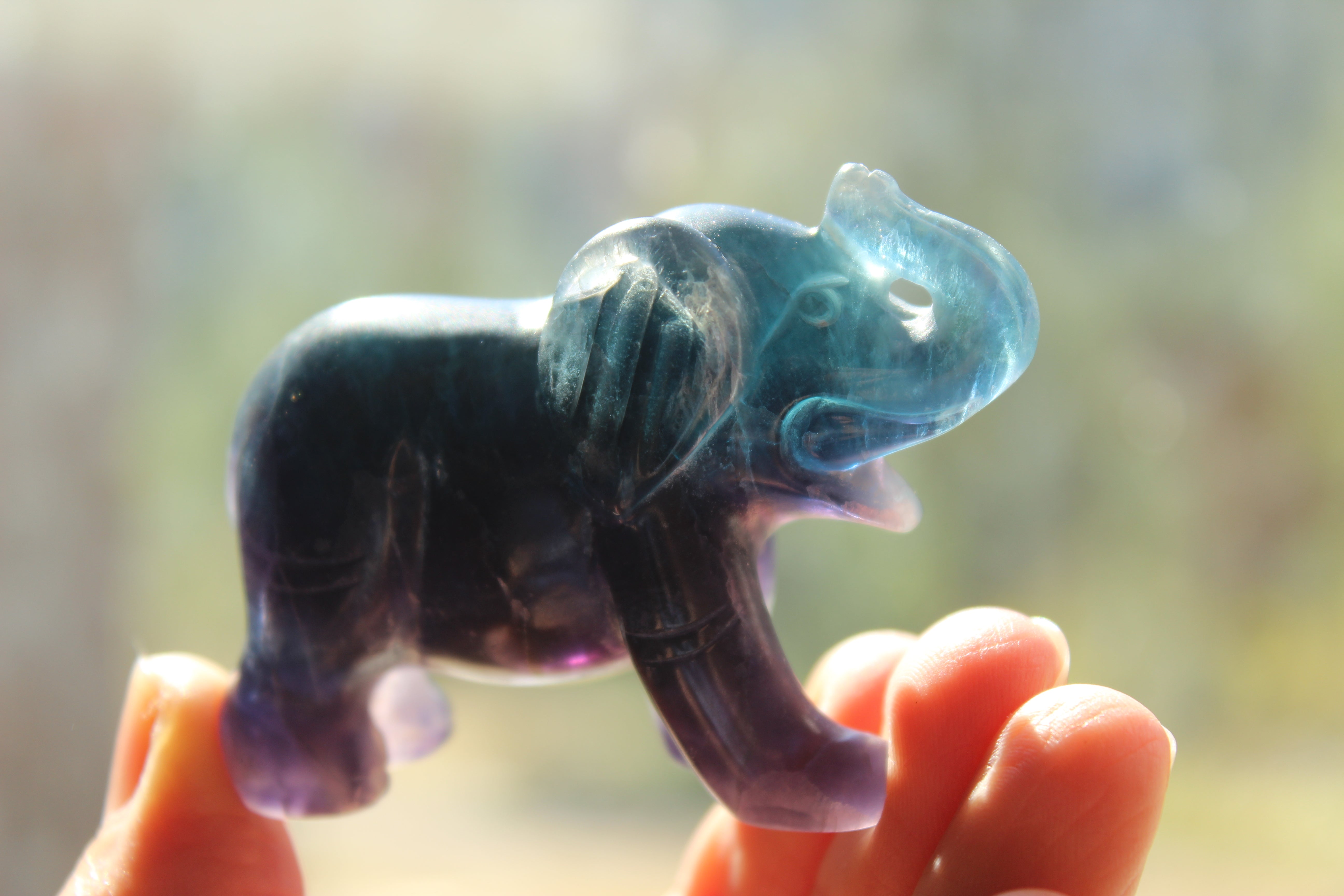 Fluorite elephant 6, new