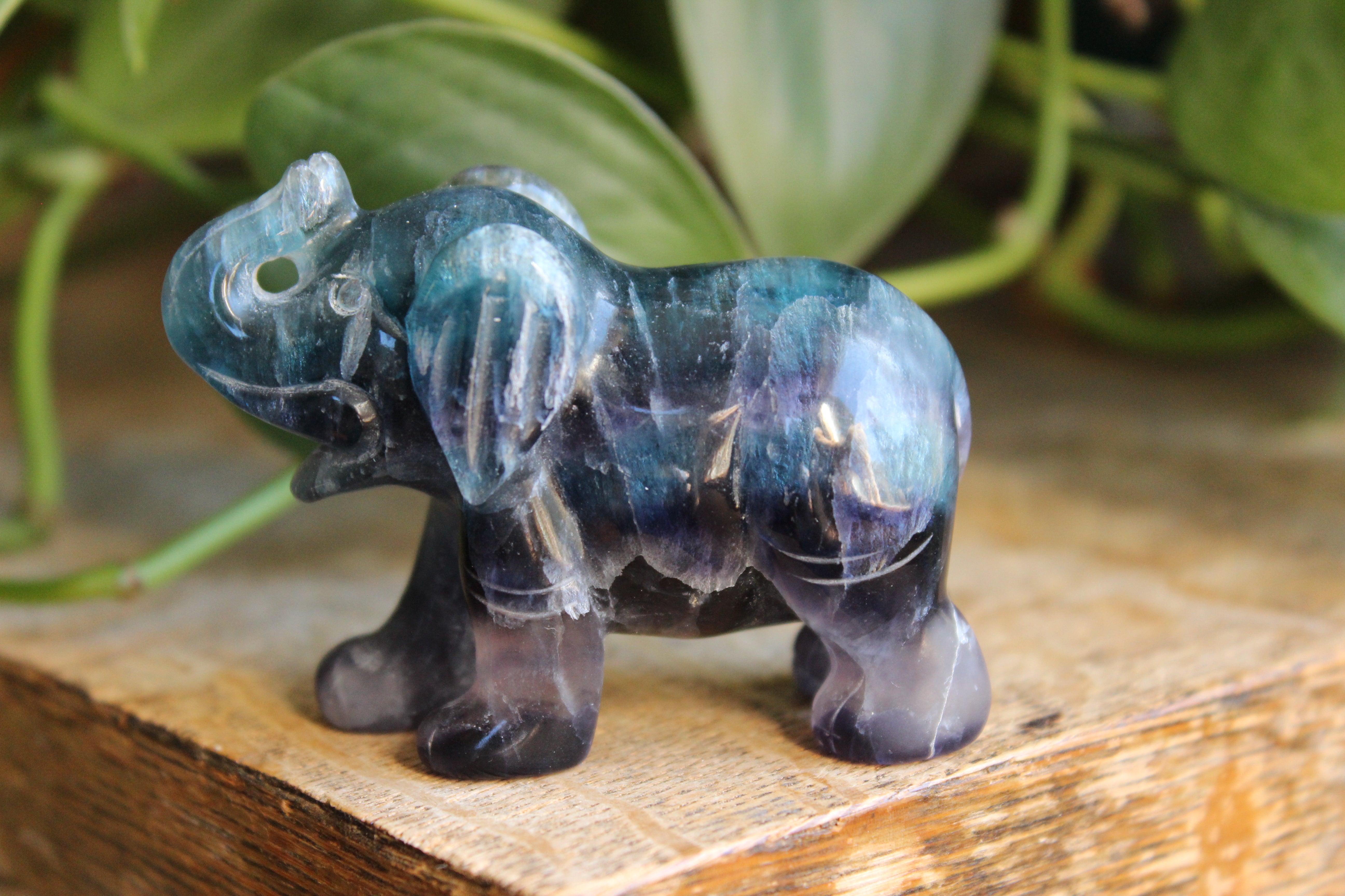 Fluorite elephant 6, new