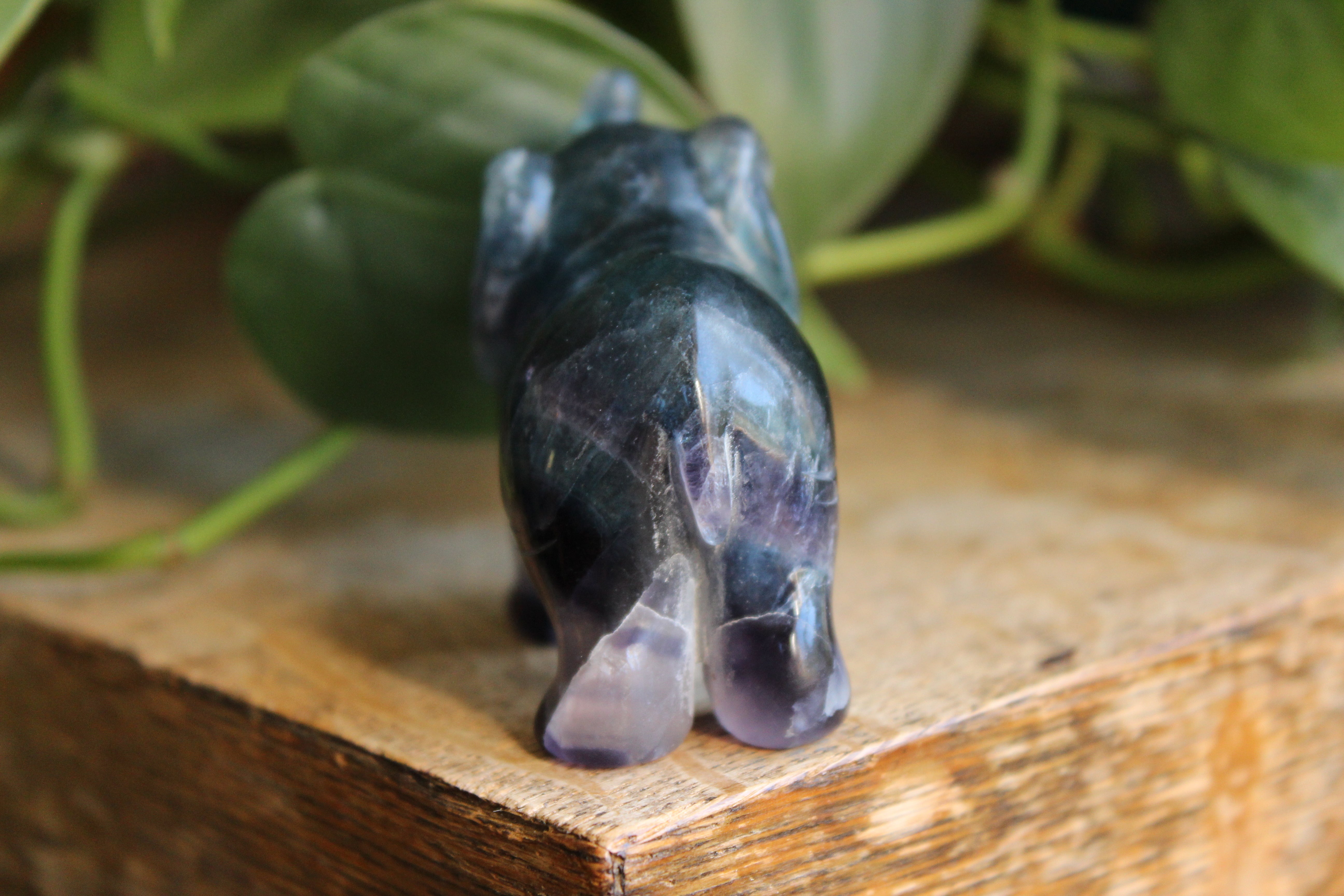 Fluorite elephant 6, new