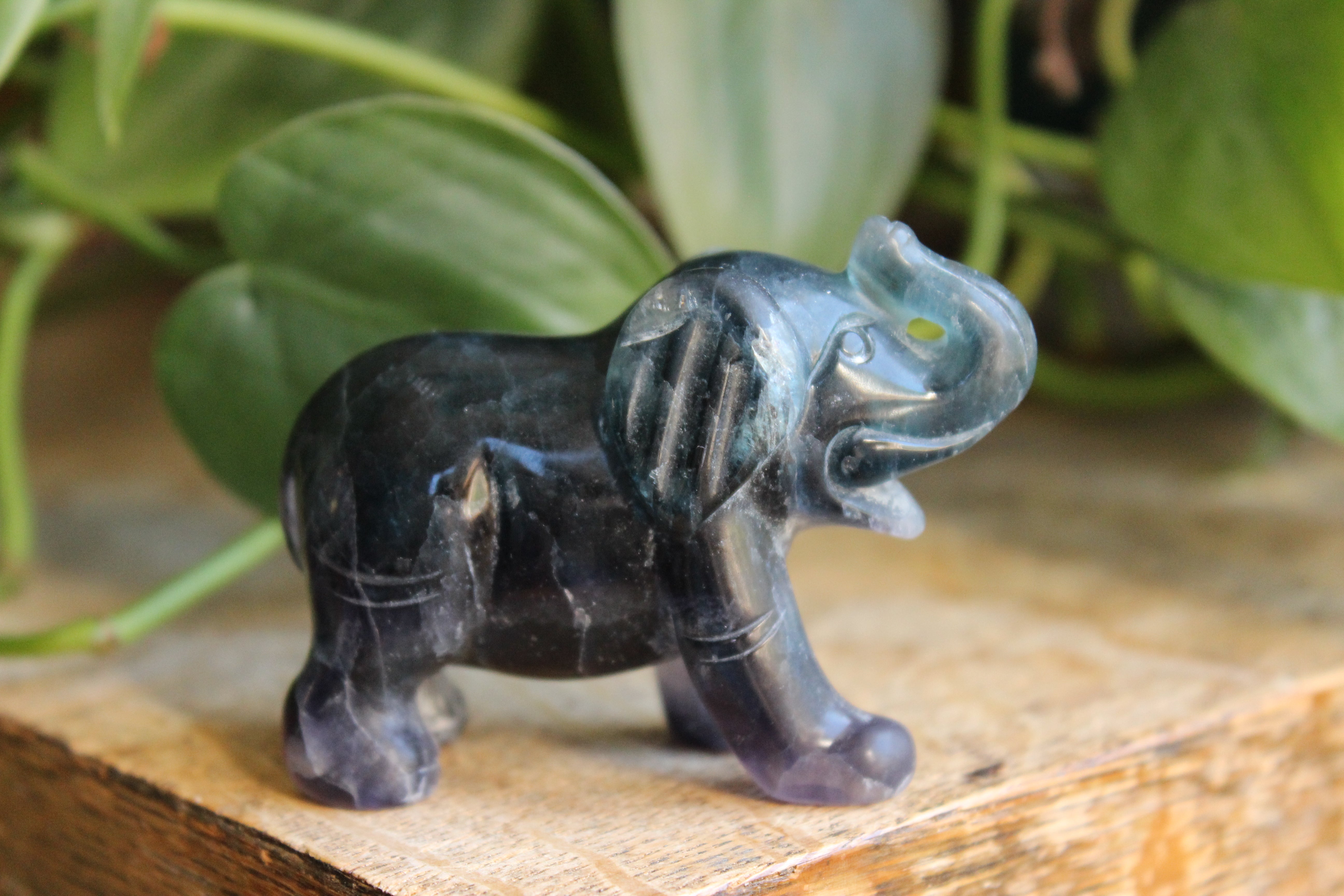 Fluorite elephant 6, new