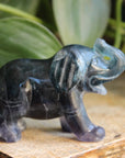 Fluorite elephant 6, new