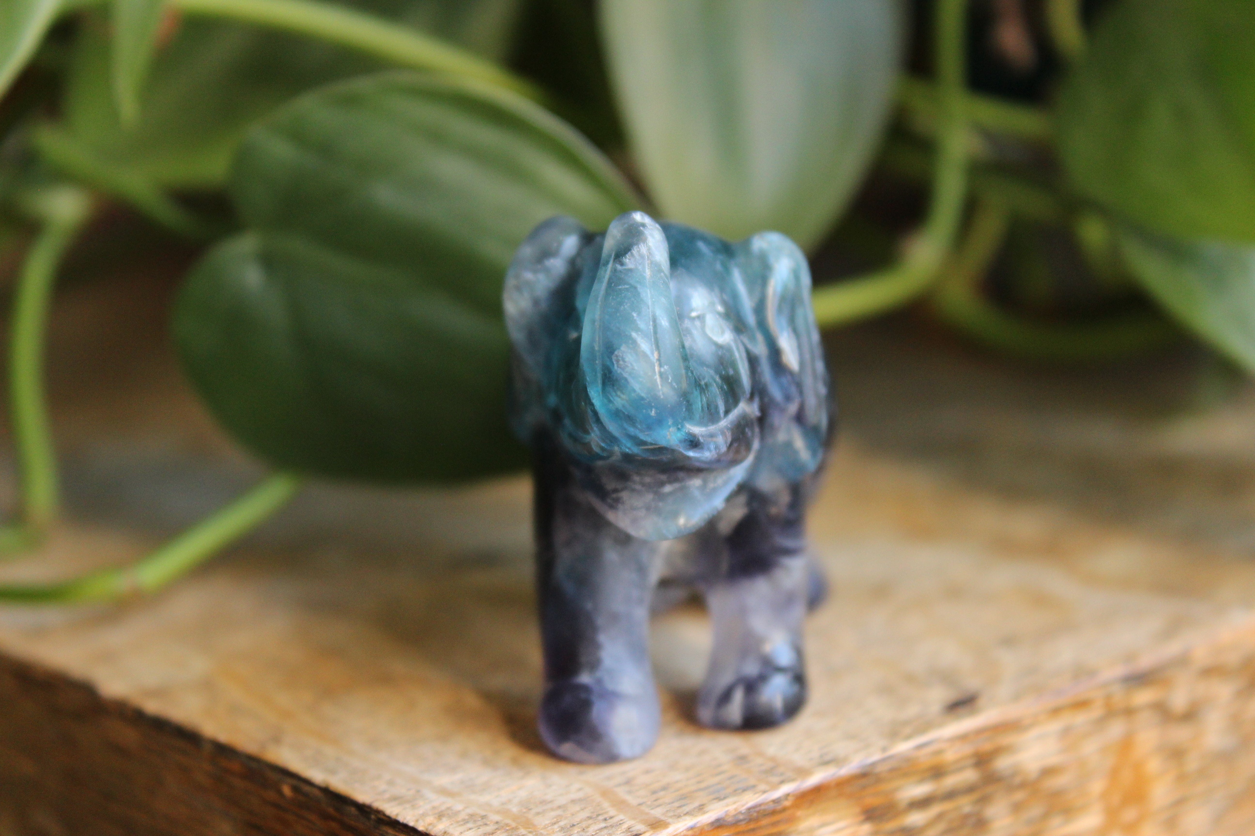 Fluorite elephant 6, new