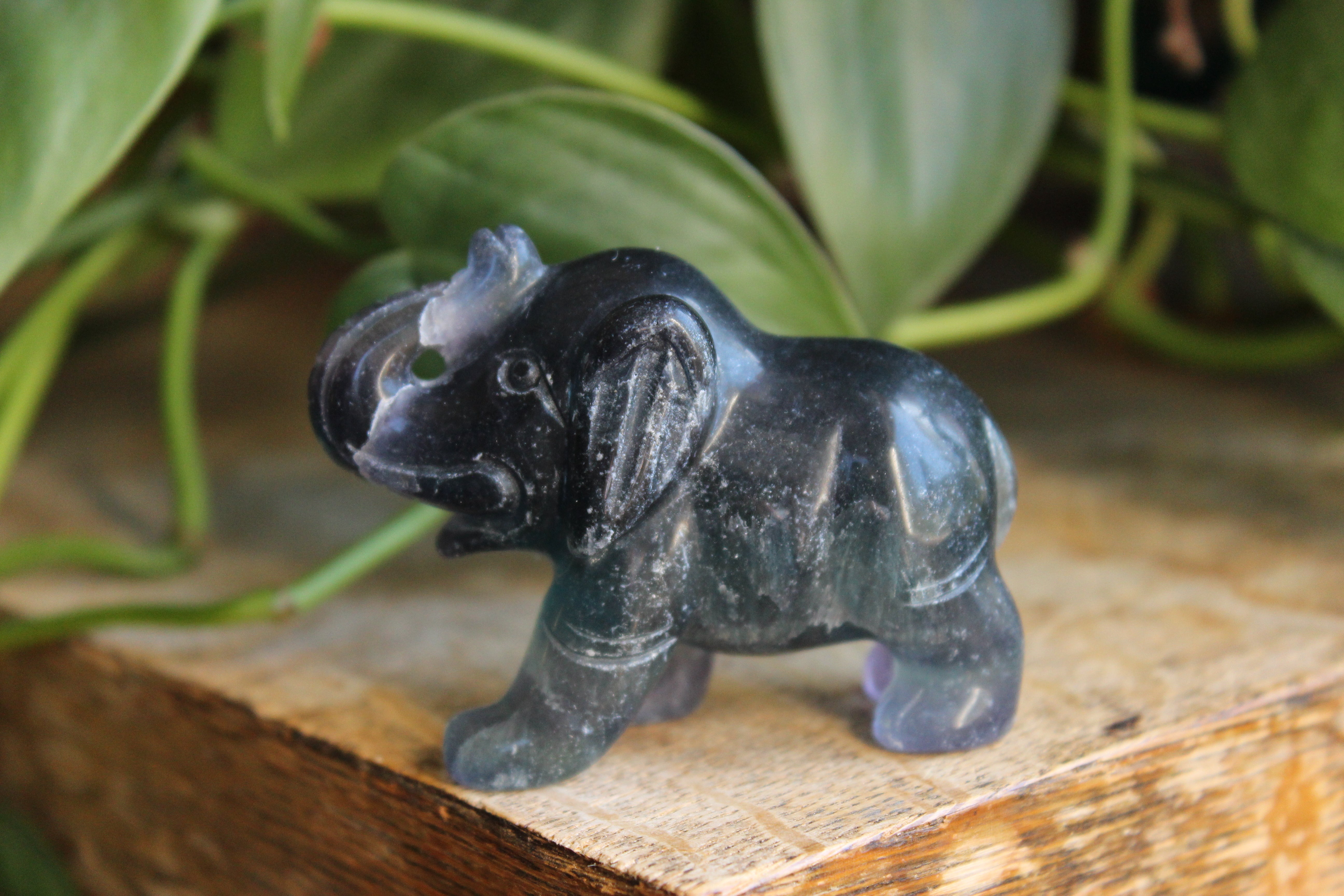Fluorite elephant 7, new