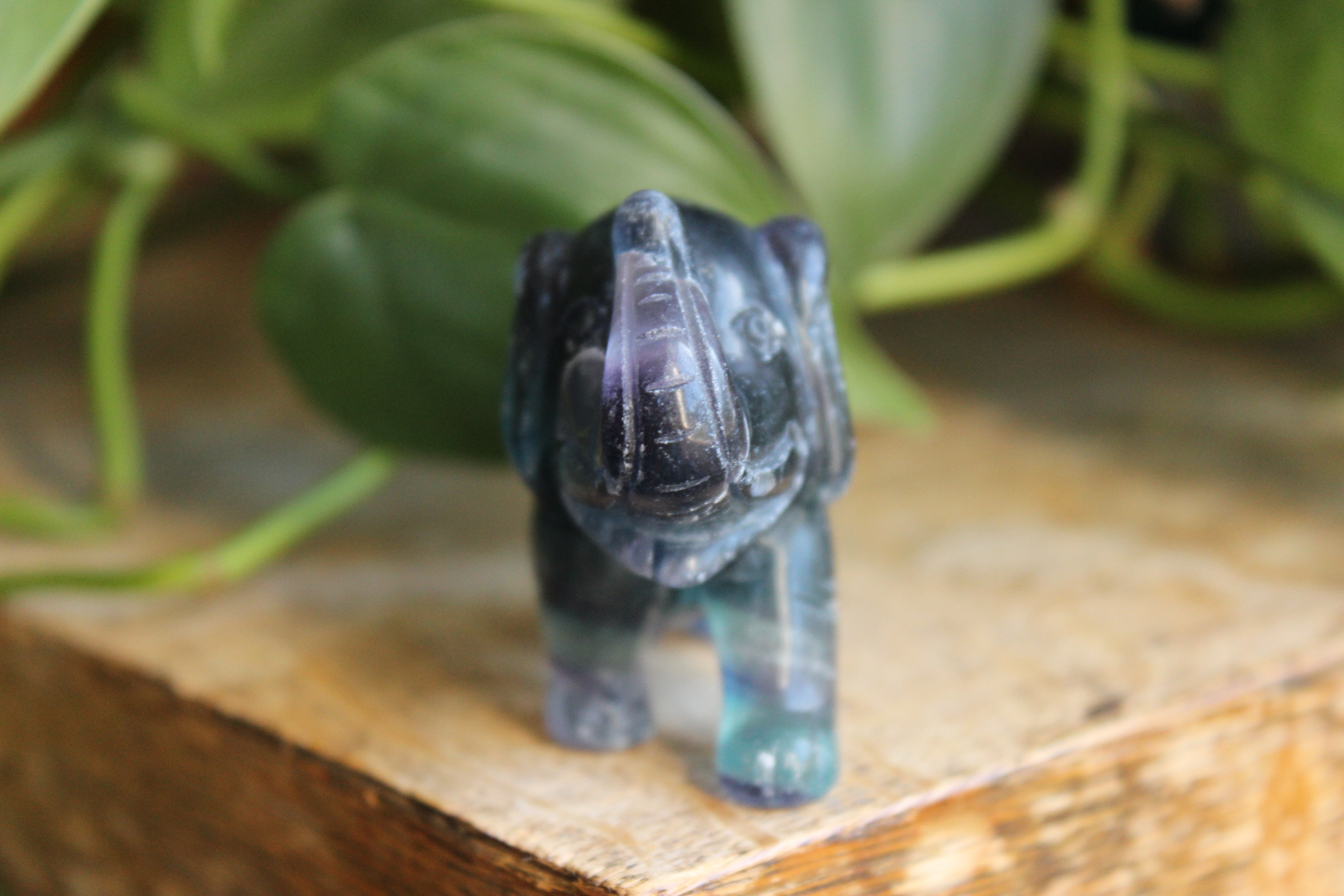 Fluorite elephant 7, new