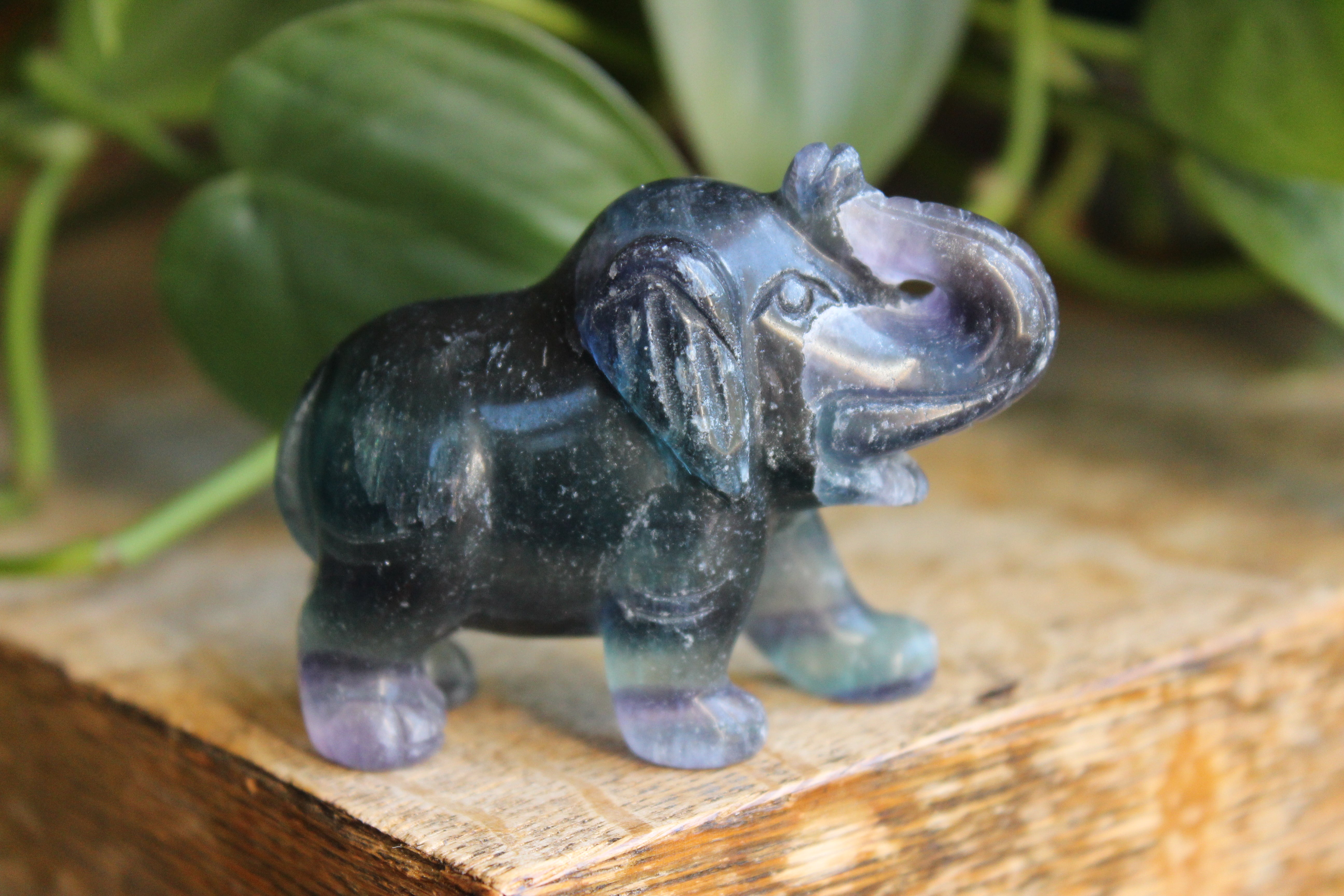 Fluorite elephant 7, new