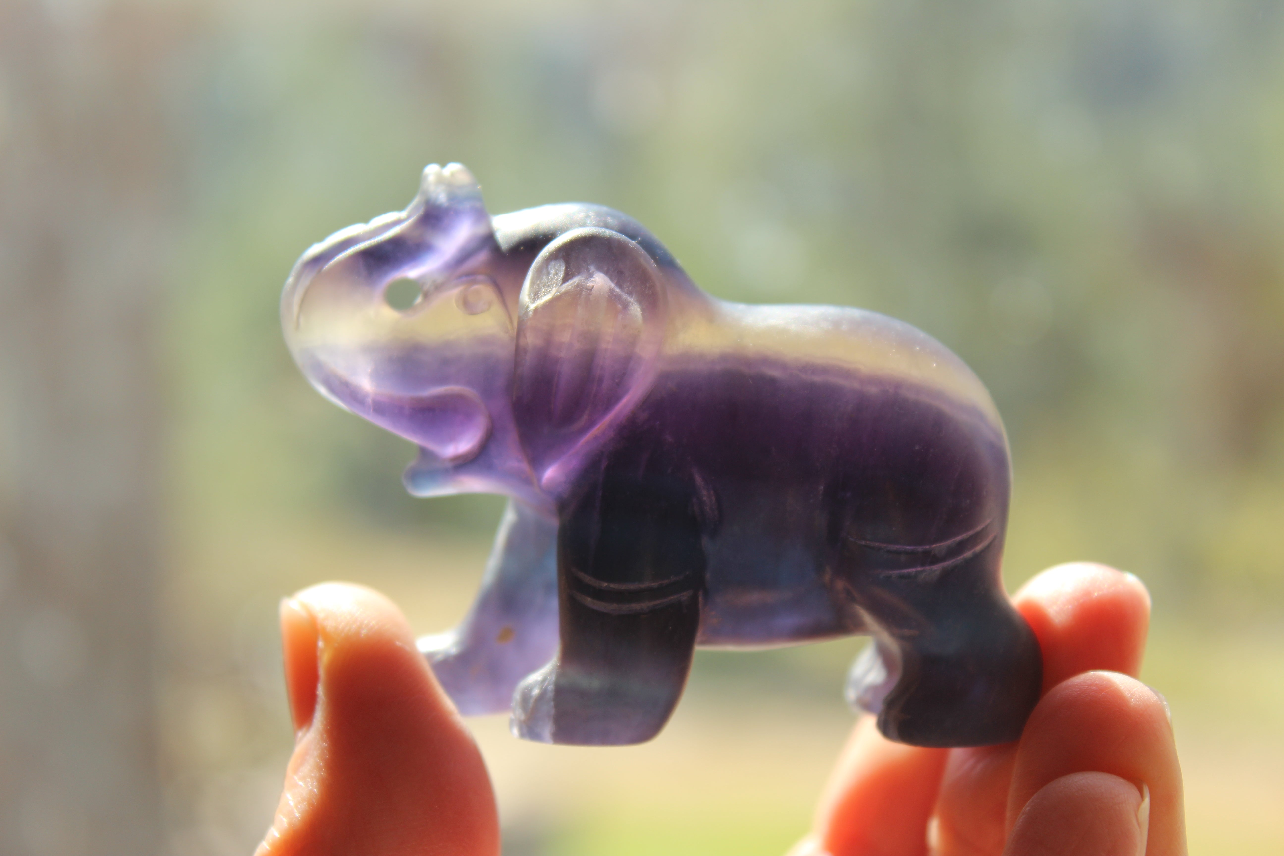 Fluorite elephant 8, new