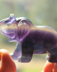 Fluorite elephant 8, new