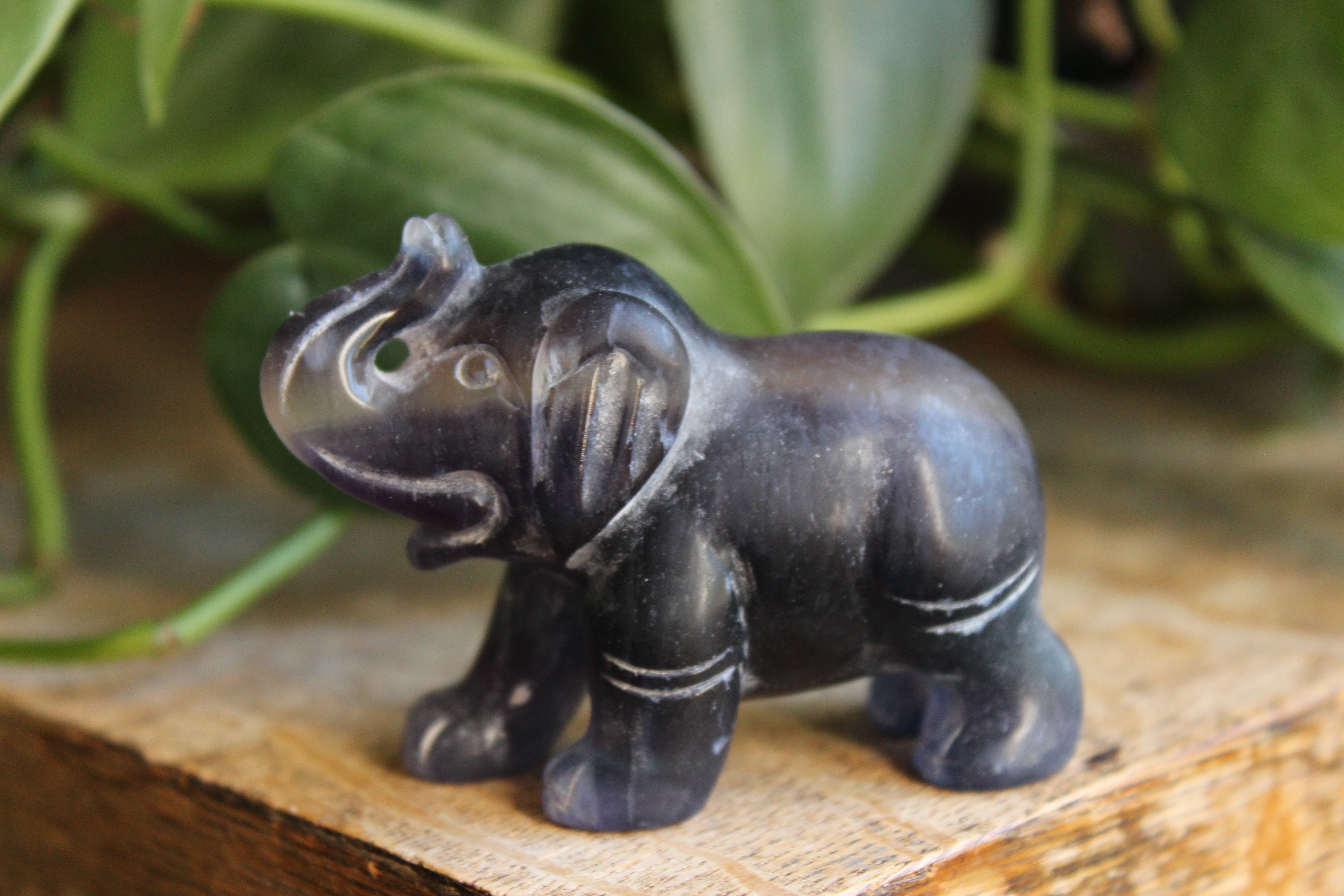 Fluorite elephant 8, new