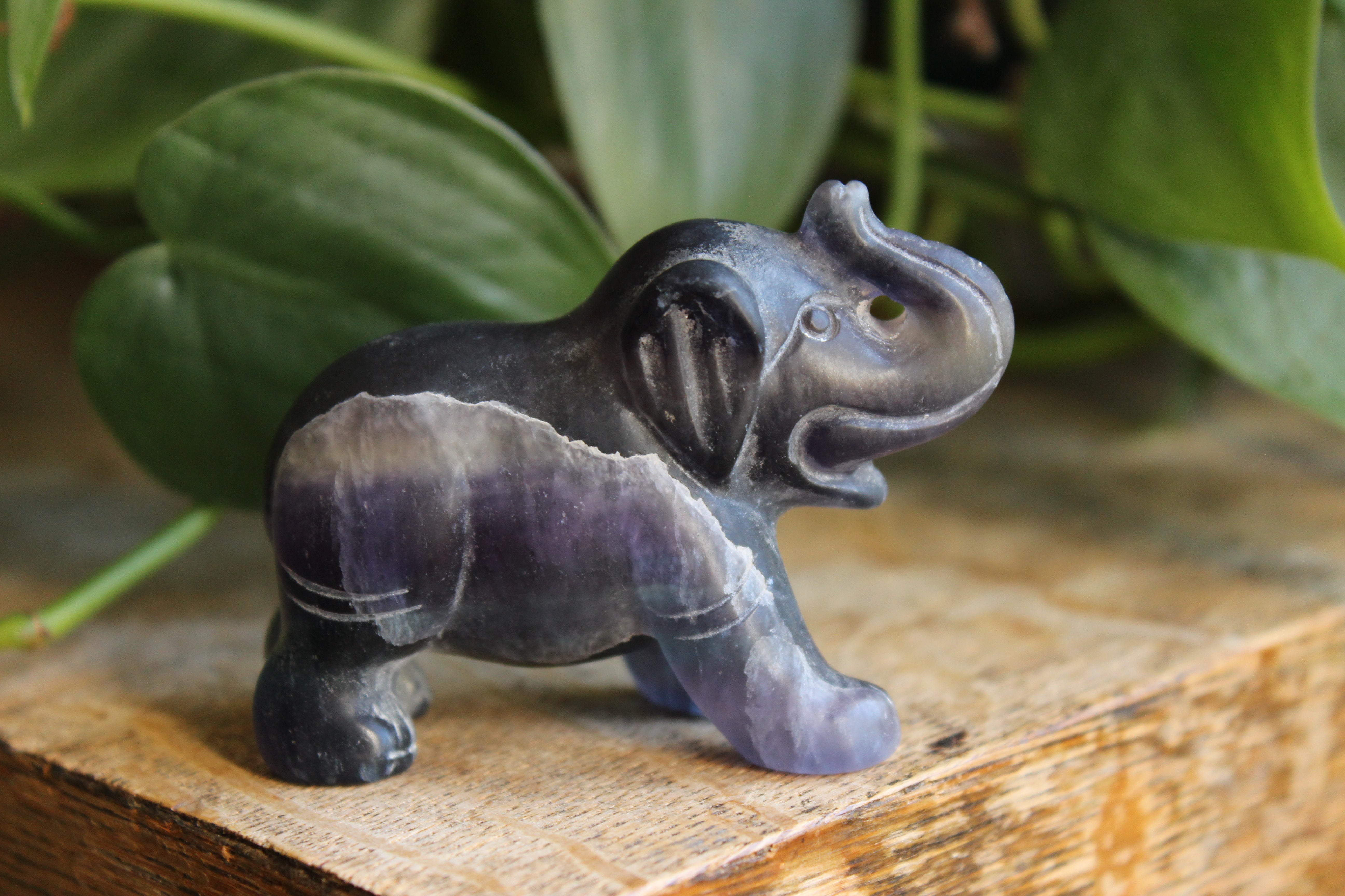 Fluorite elephant 8, new