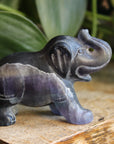 Fluorite elephant 8, new