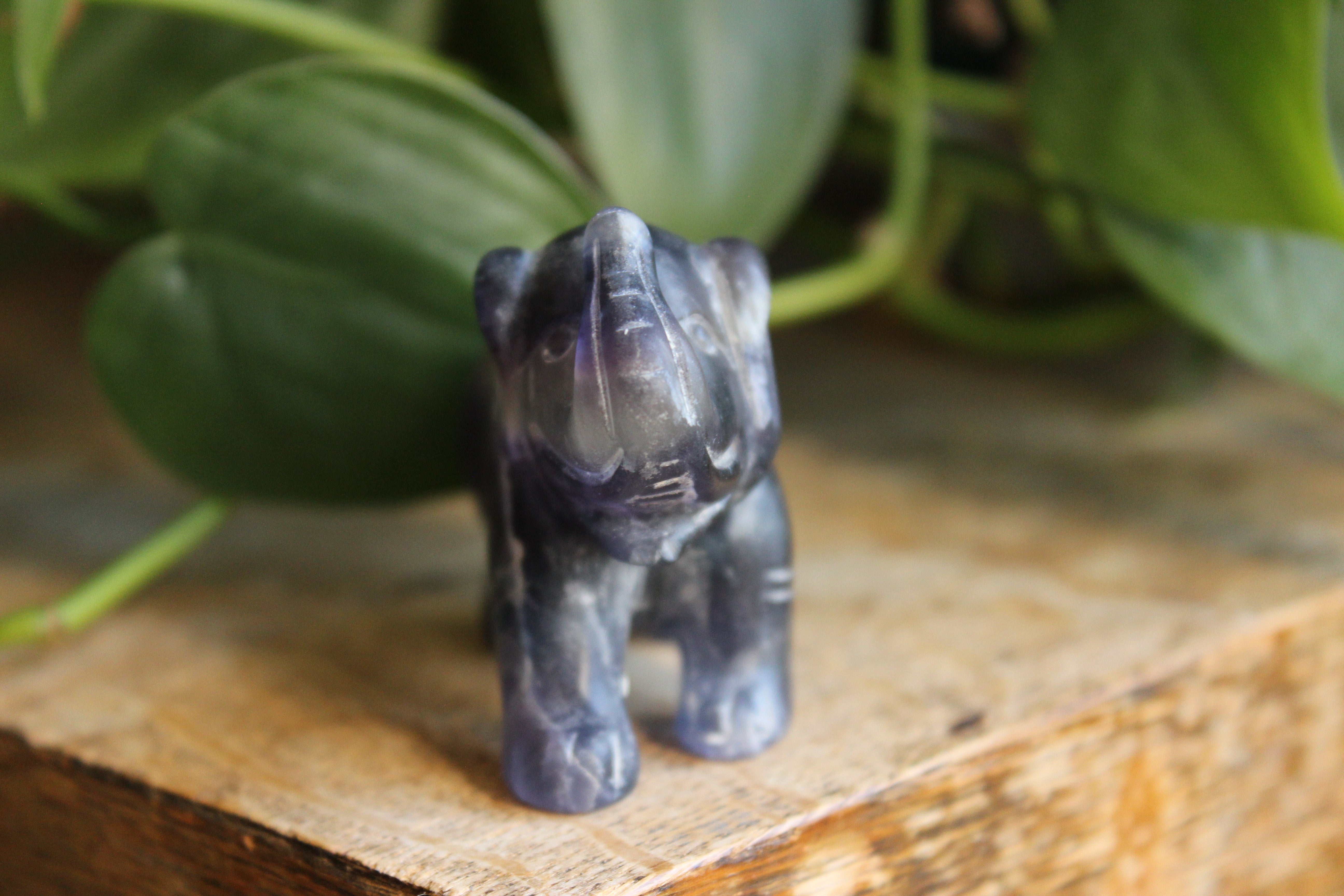 Fluorite elephant 8, new