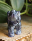 Fluorite elephant 8, new