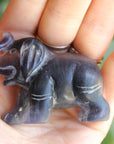 Fluorite elephant 8, new