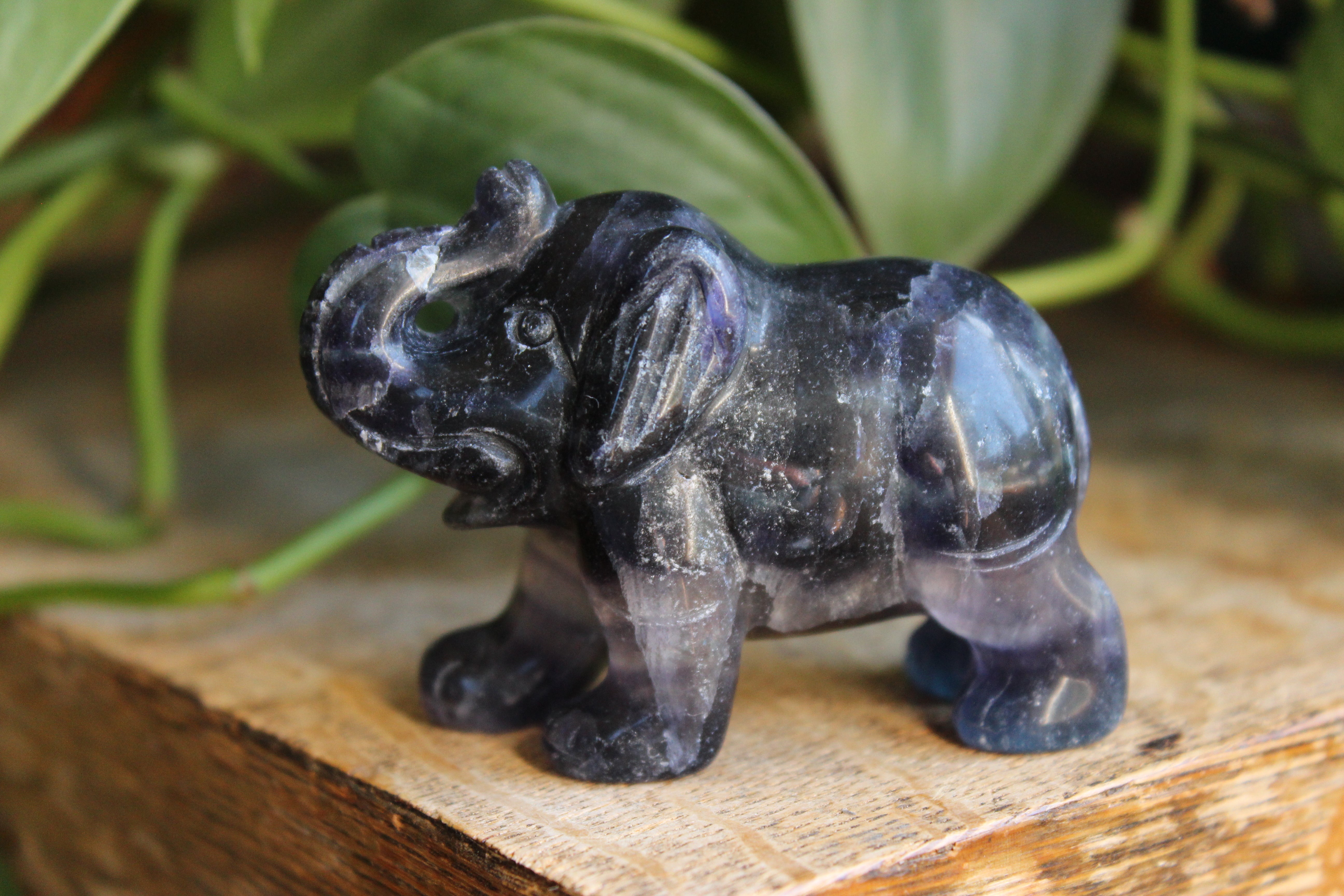 Fluorite elephant 9, new