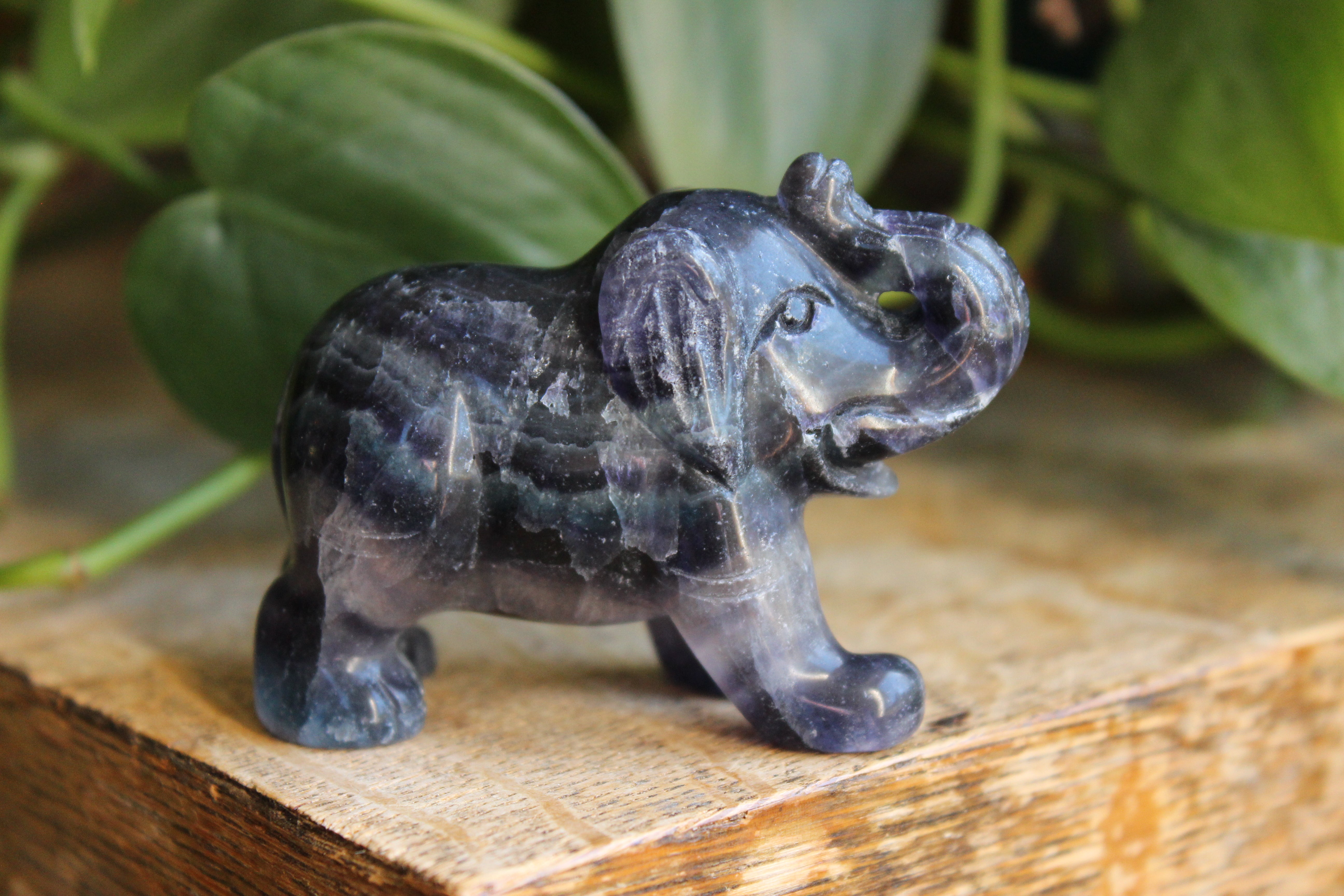 Fluorite elephant 9, new