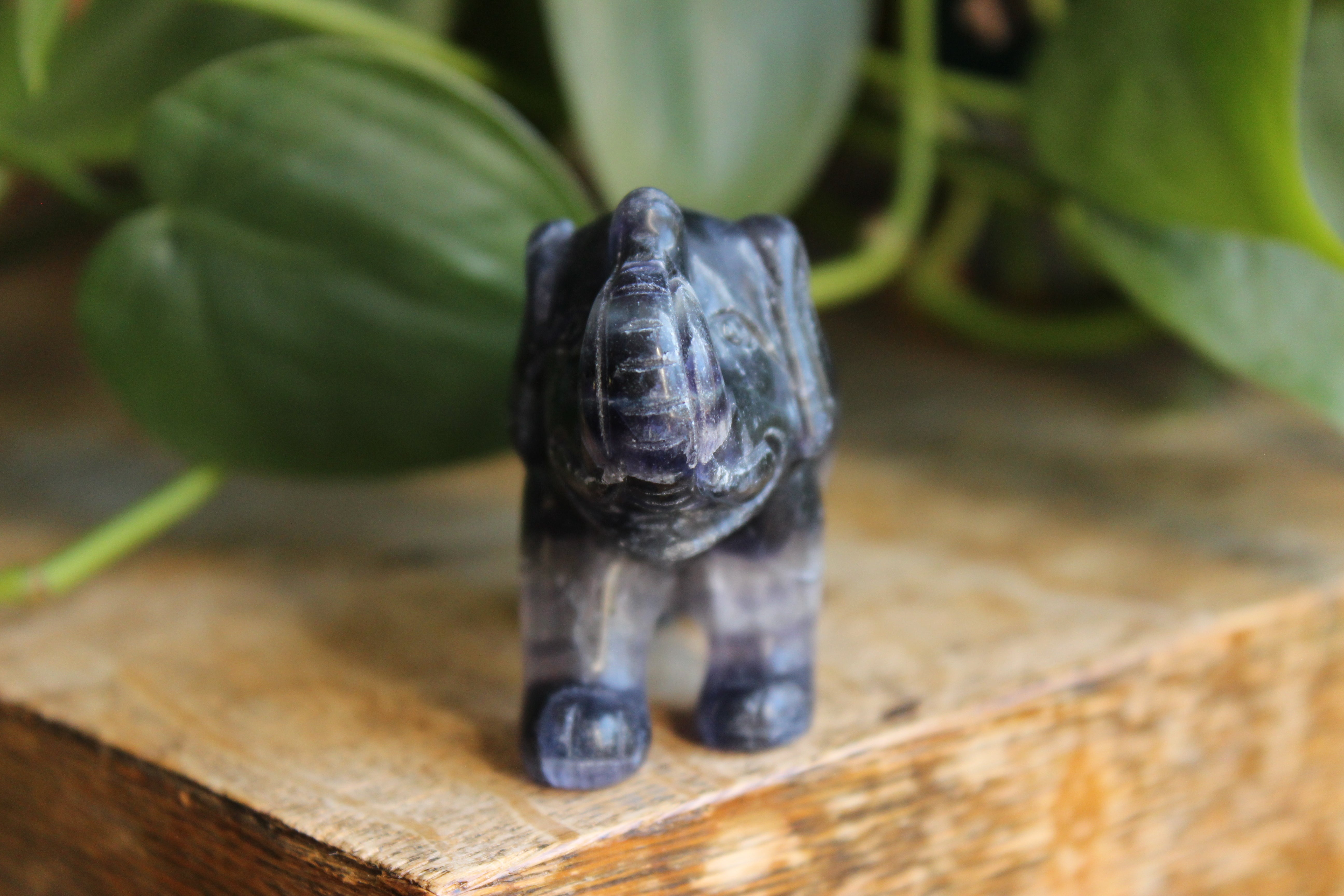 Fluorite elephant 9, new