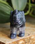 Fluorite elephant 9, new