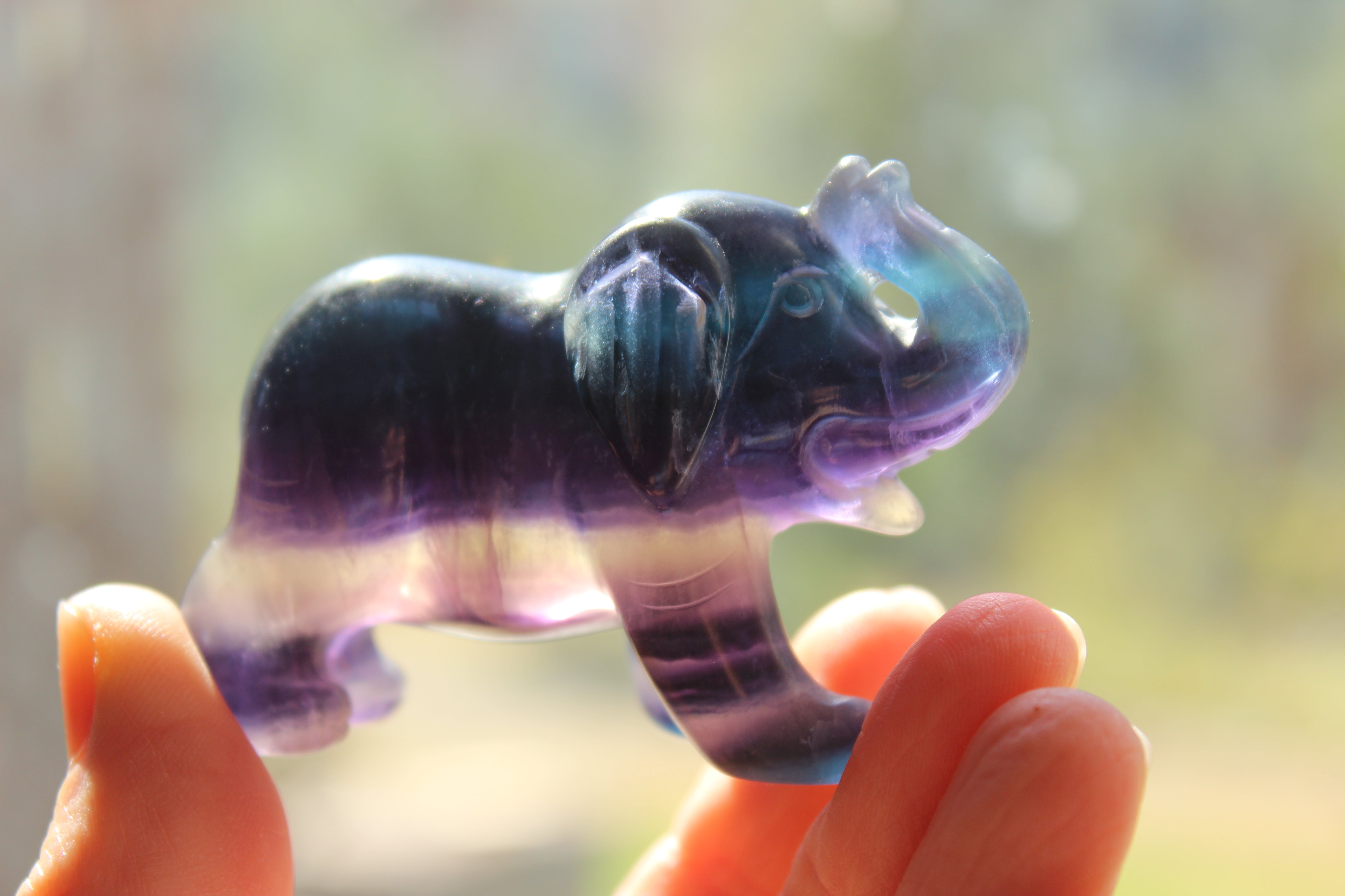 Fluorite elephant 10, new