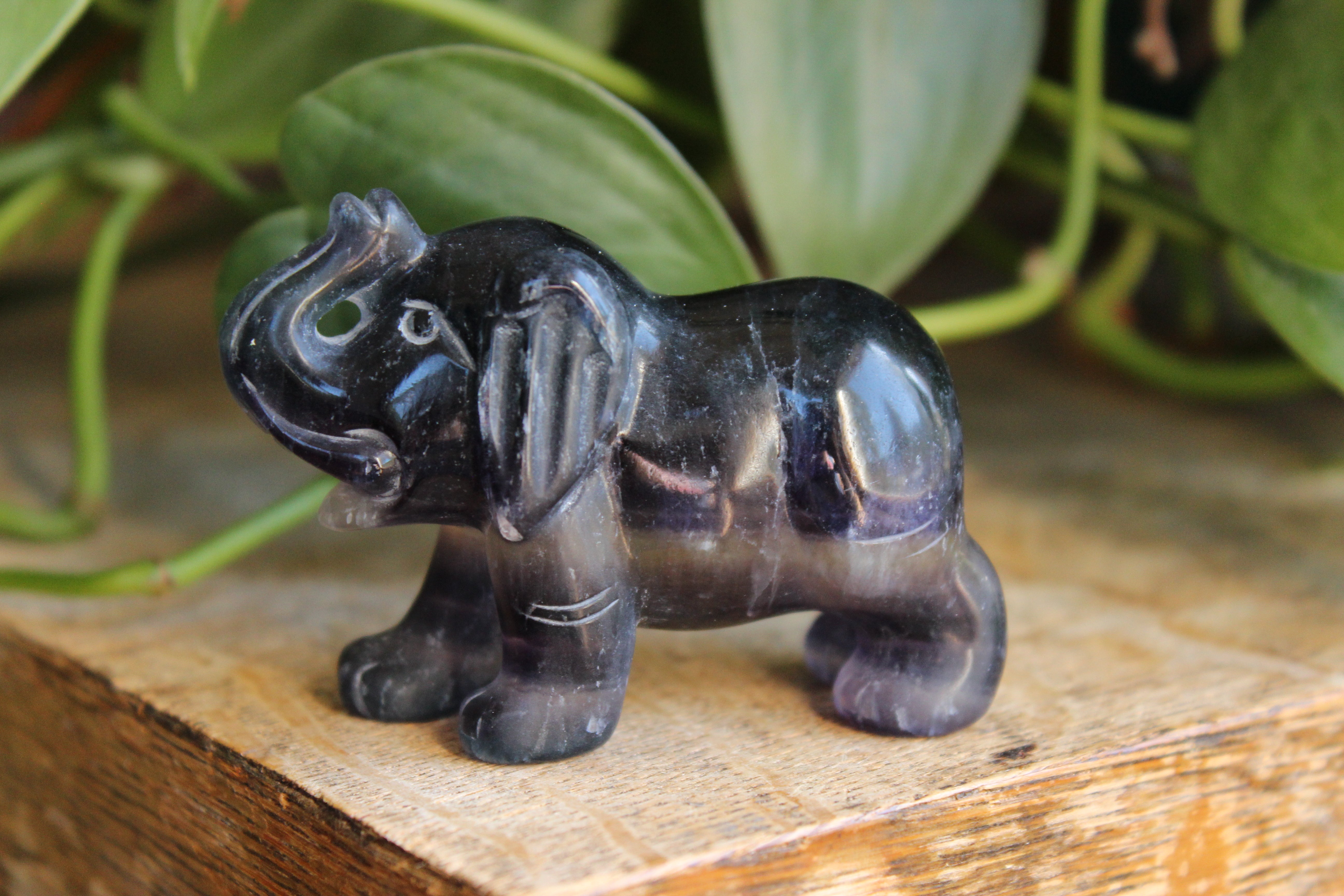 Fluorite elephant 10, new
