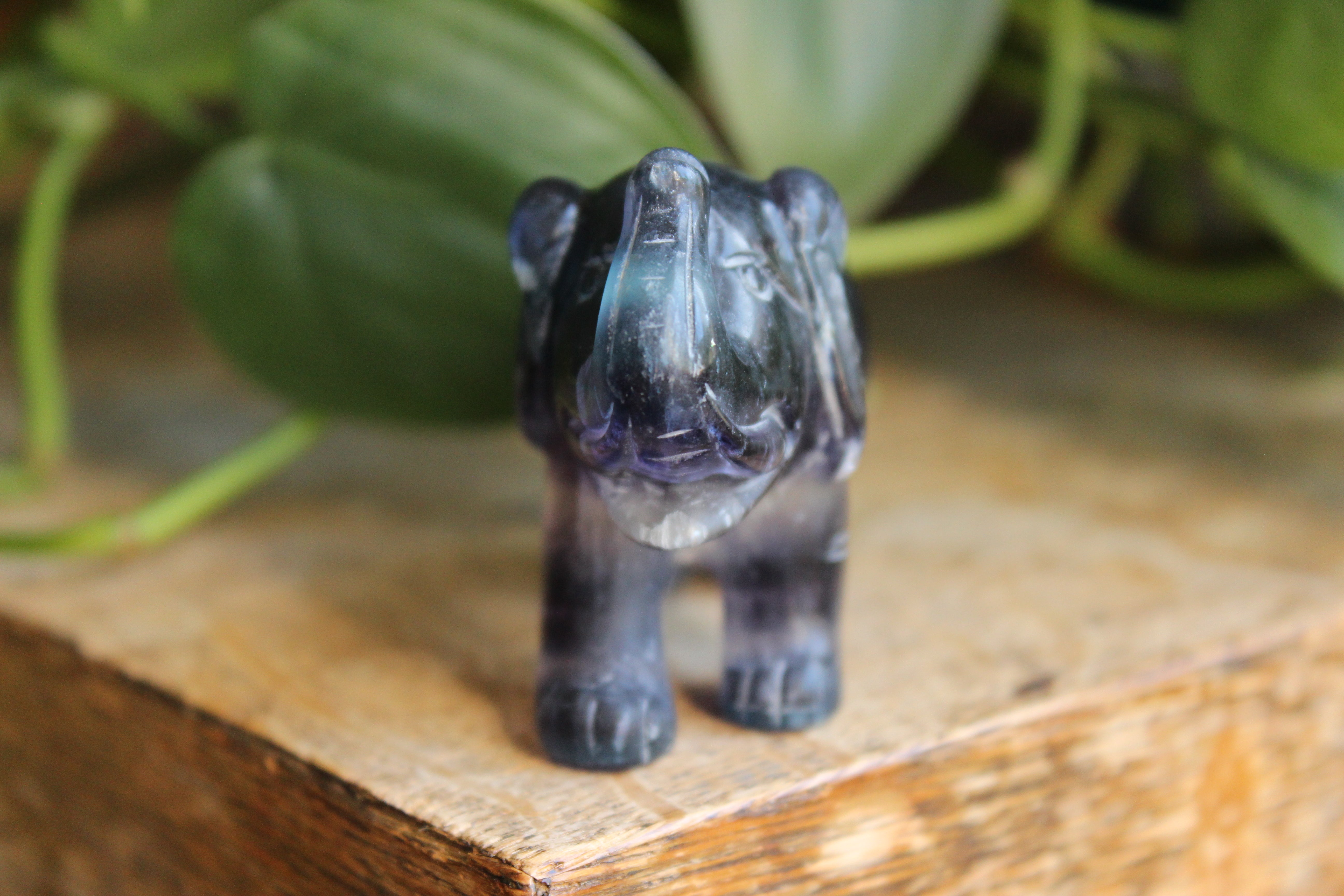 Fluorite elephant 10, new