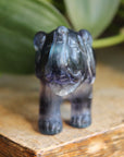 Fluorite elephant 10, new