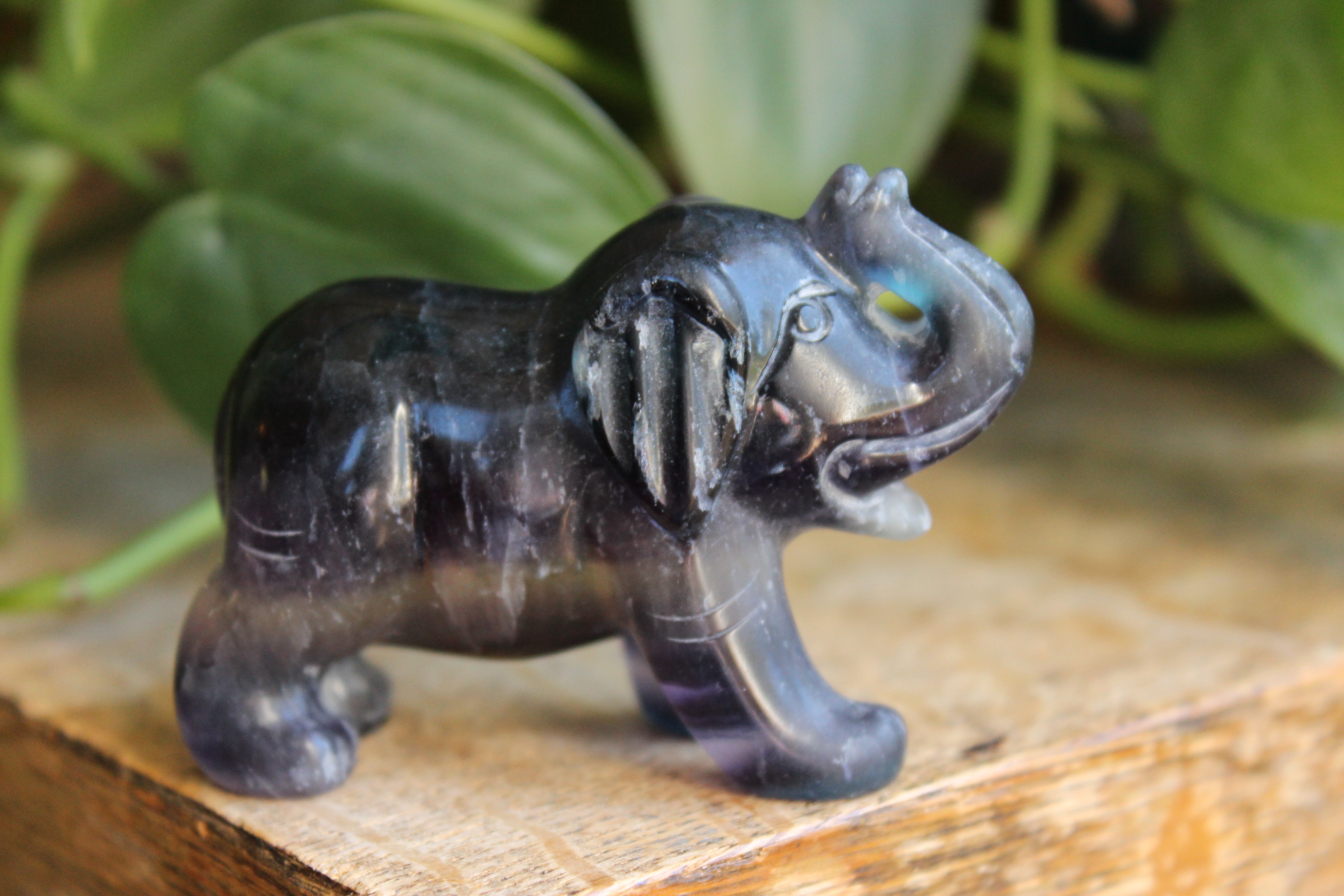 Fluorite elephant 10, new