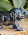 Fluorite elephant 10, new
