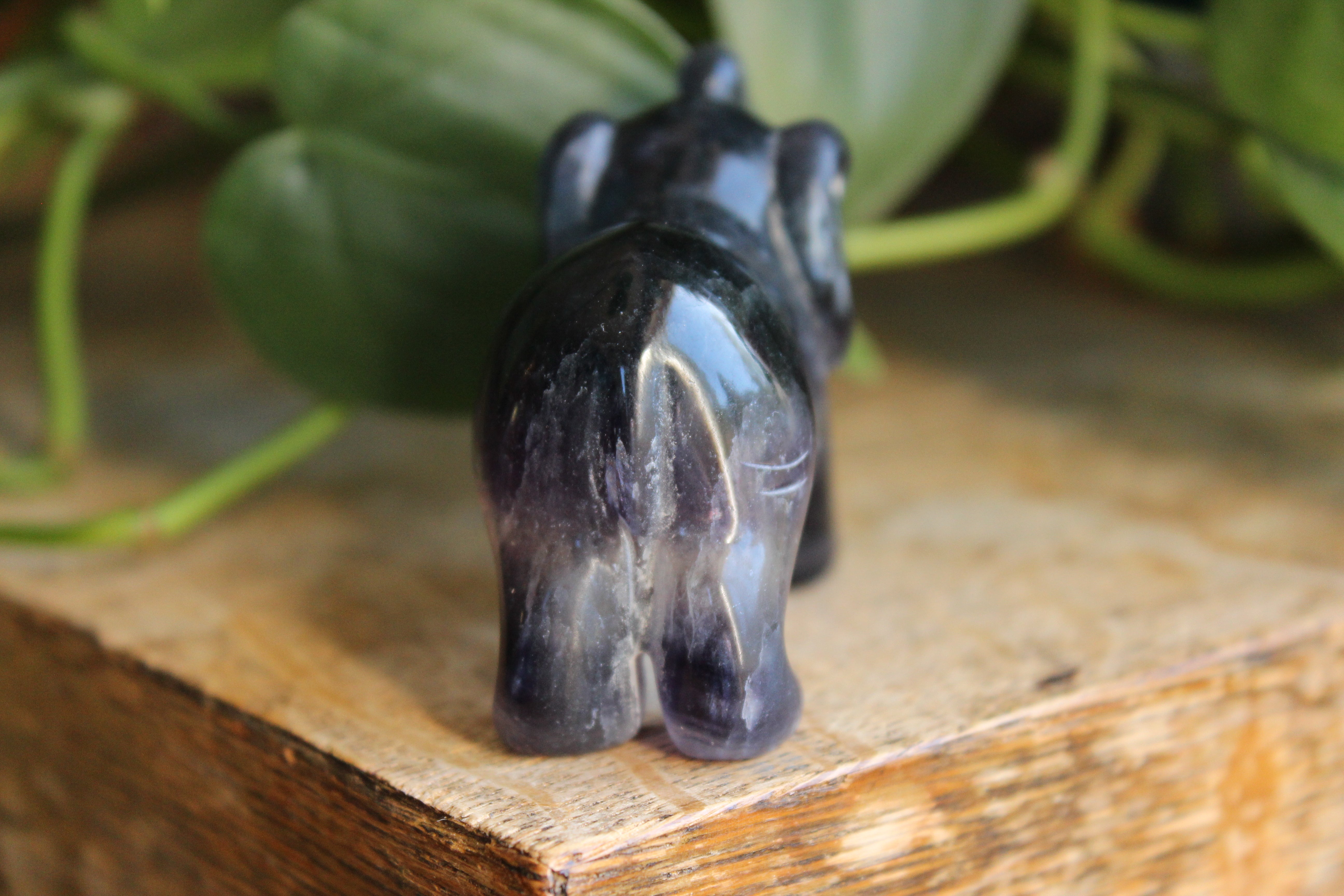 Fluorite elephant 10, new
