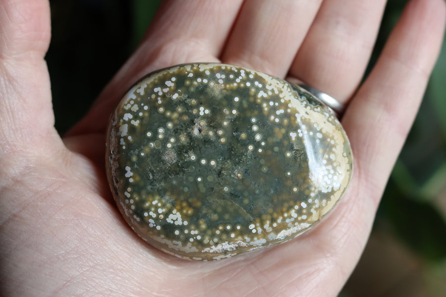 Old stock ocean jasper pocket stone OS1