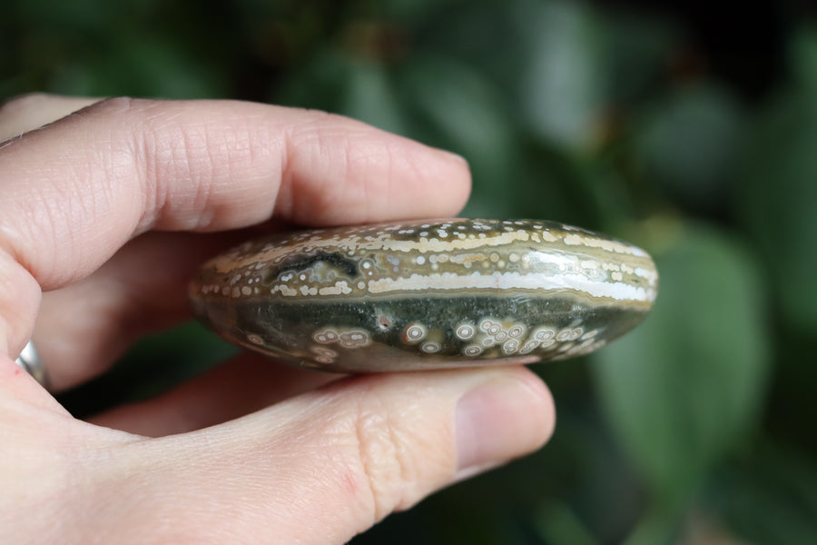 Old stock ocean jasper pocket stone OS1