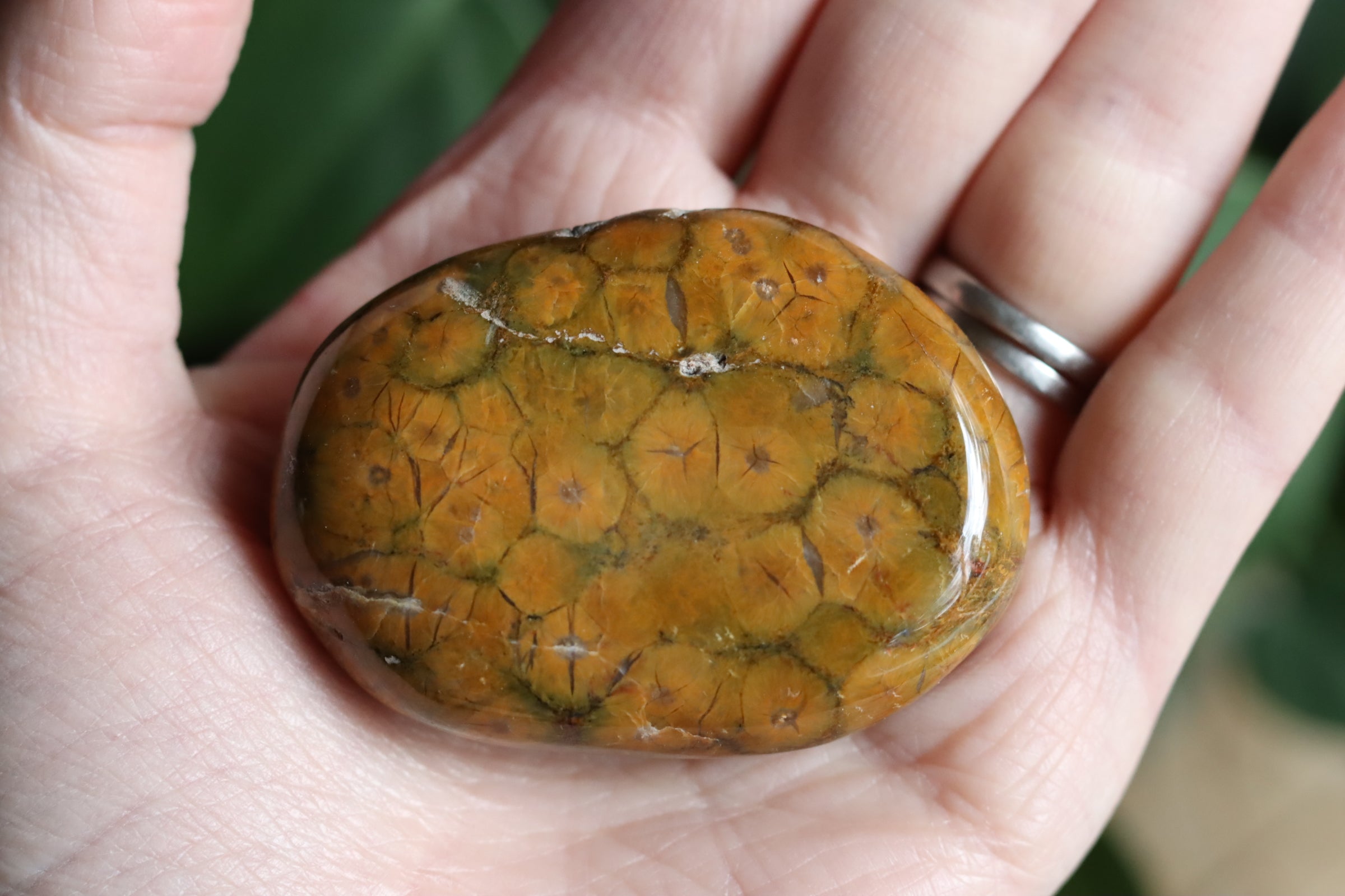 Old stock ocean jasper pocket stone OS2