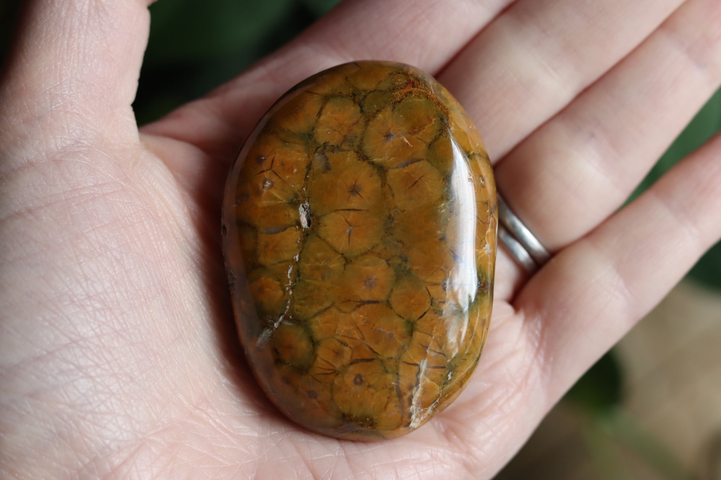 Old stock ocean jasper pocket stone OS2
