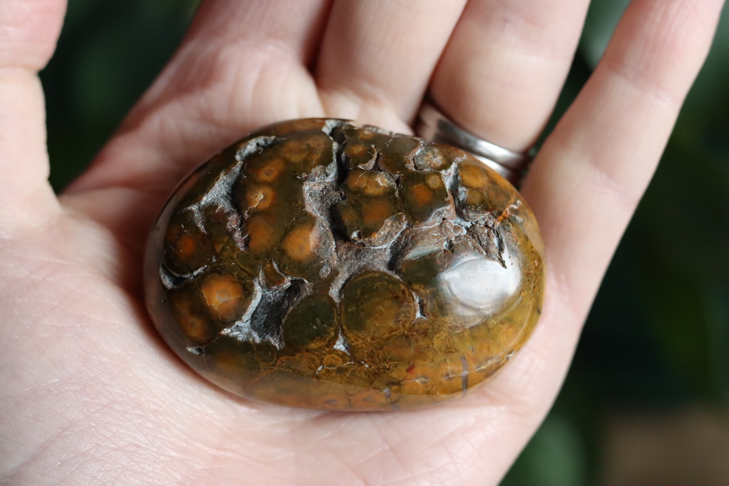 Old stock ocean jasper pocket stone OS2