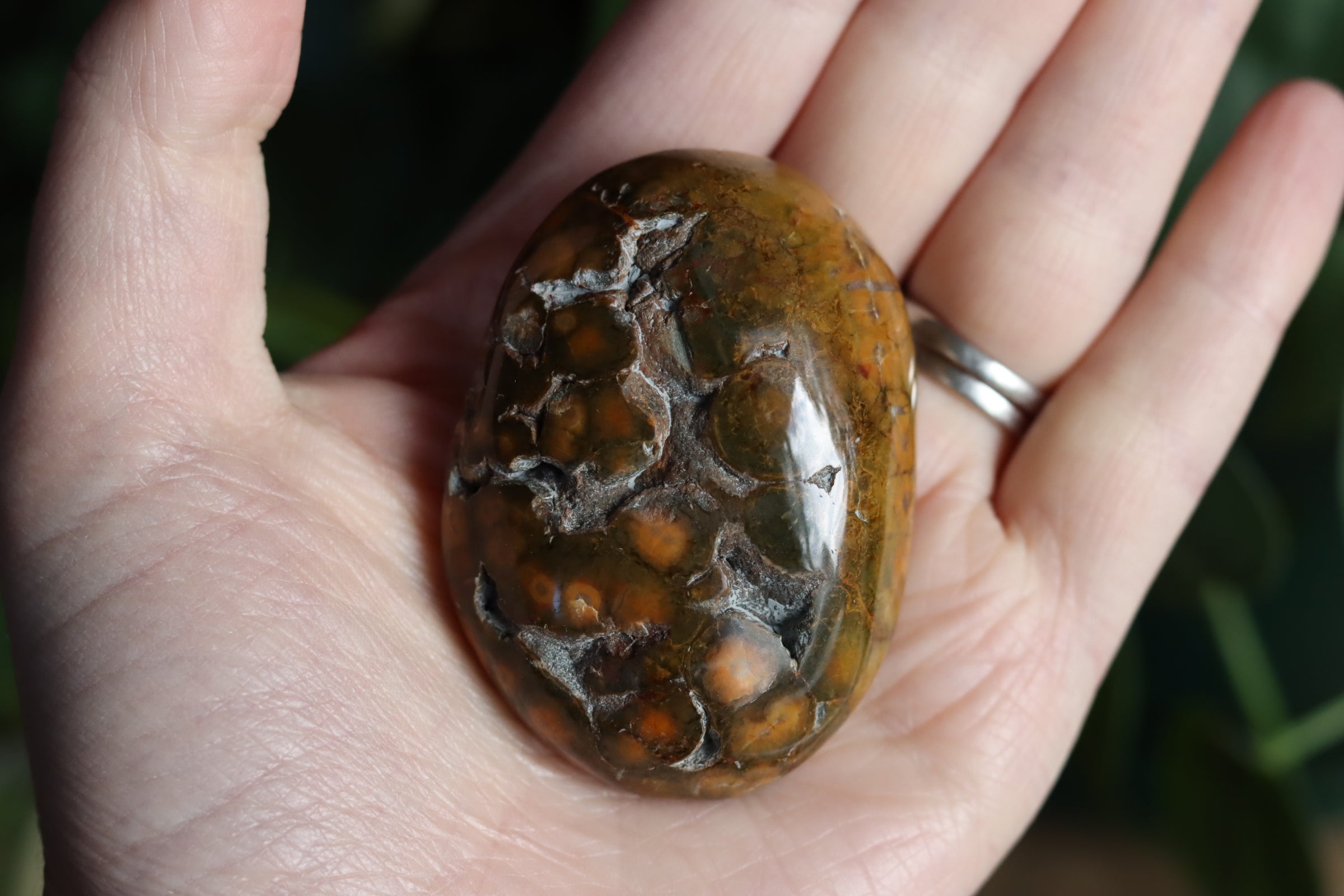 Old stock ocean jasper pocket stone OS2