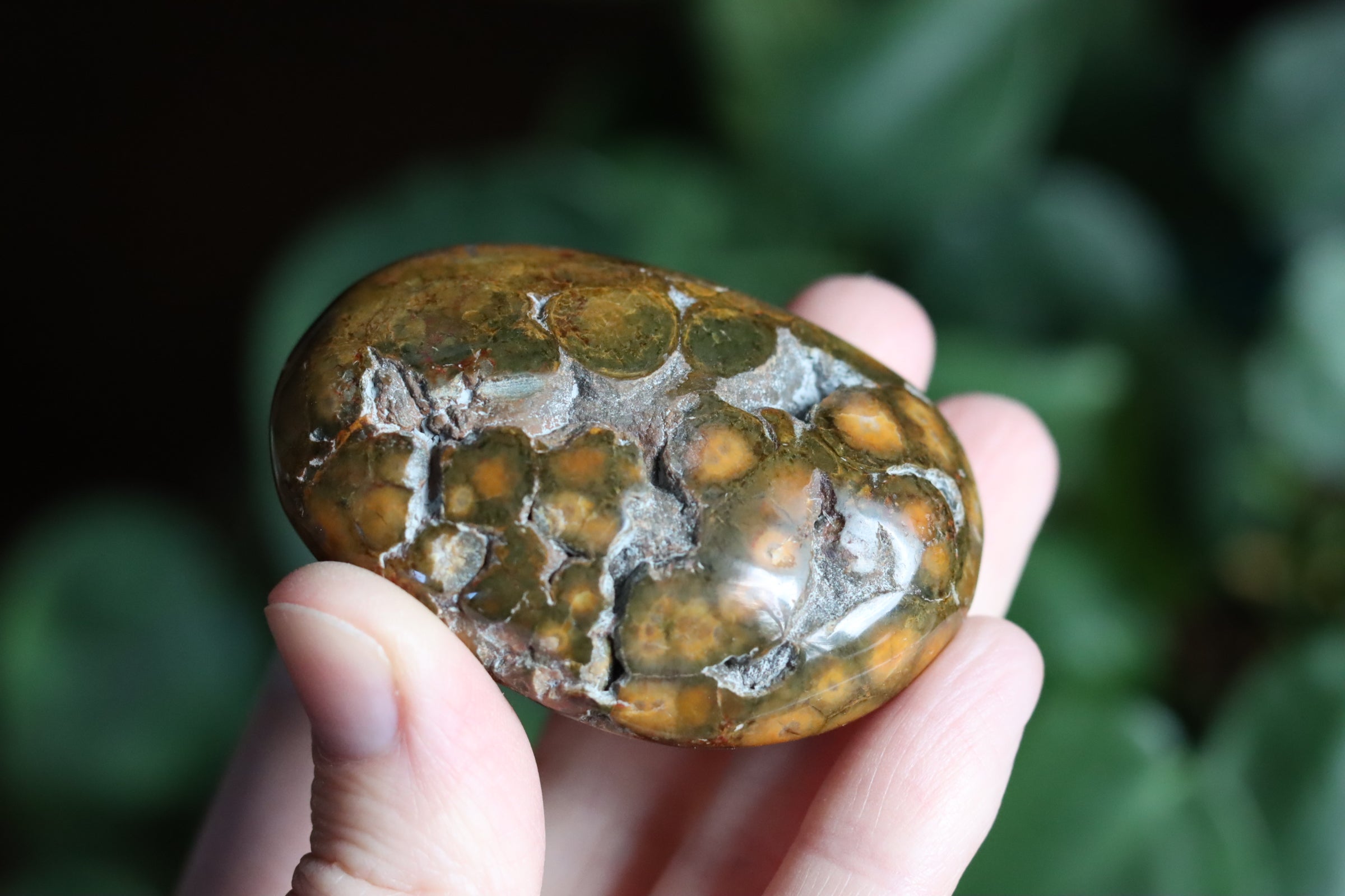 Old stock ocean jasper pocket stone OS2