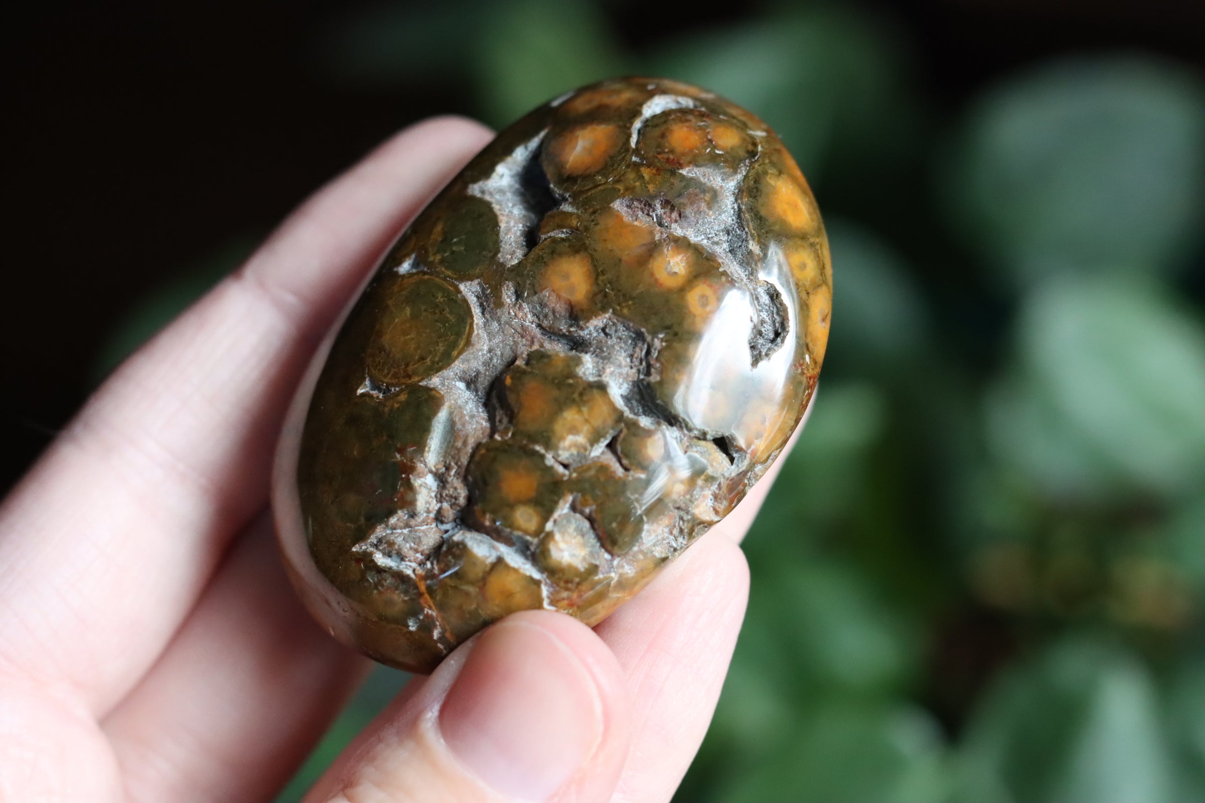Old stock ocean jasper pocket stone OS2