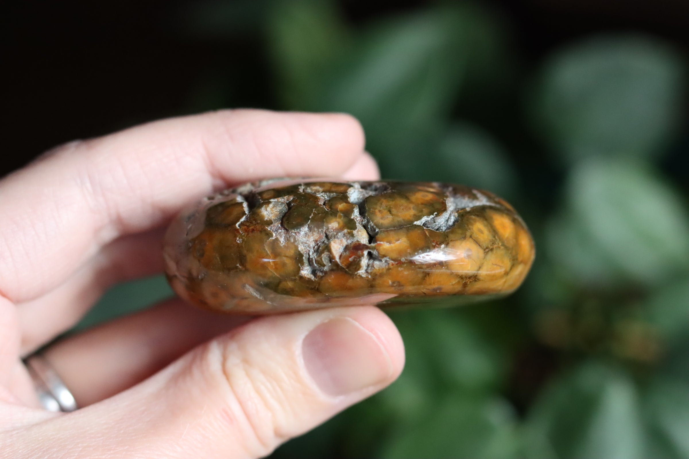 Old stock ocean jasper pocket stone OS2