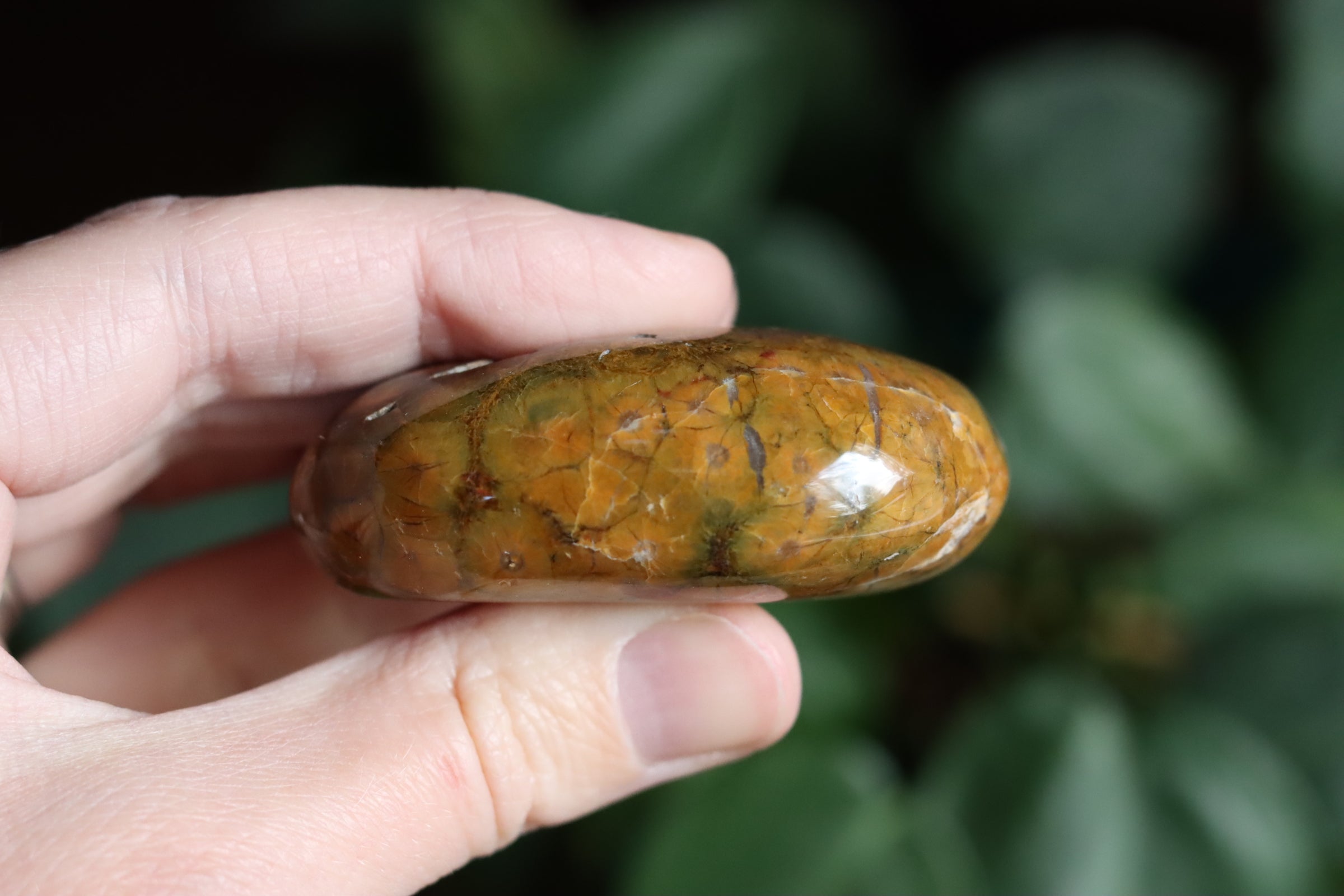 Old stock ocean jasper pocket stone OS2