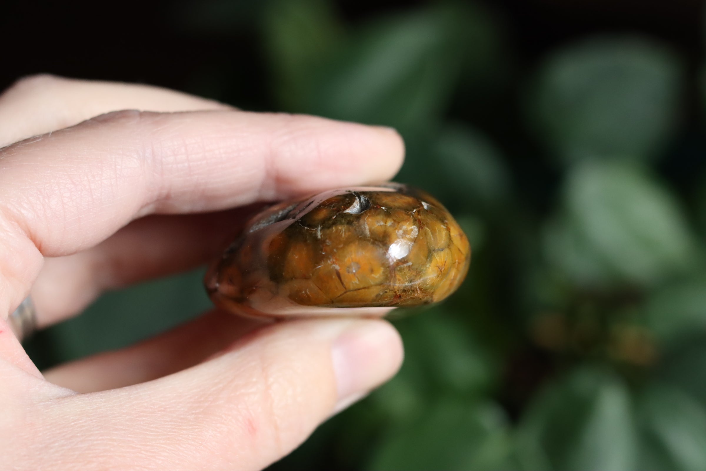 Old stock ocean jasper pocket stone OS2