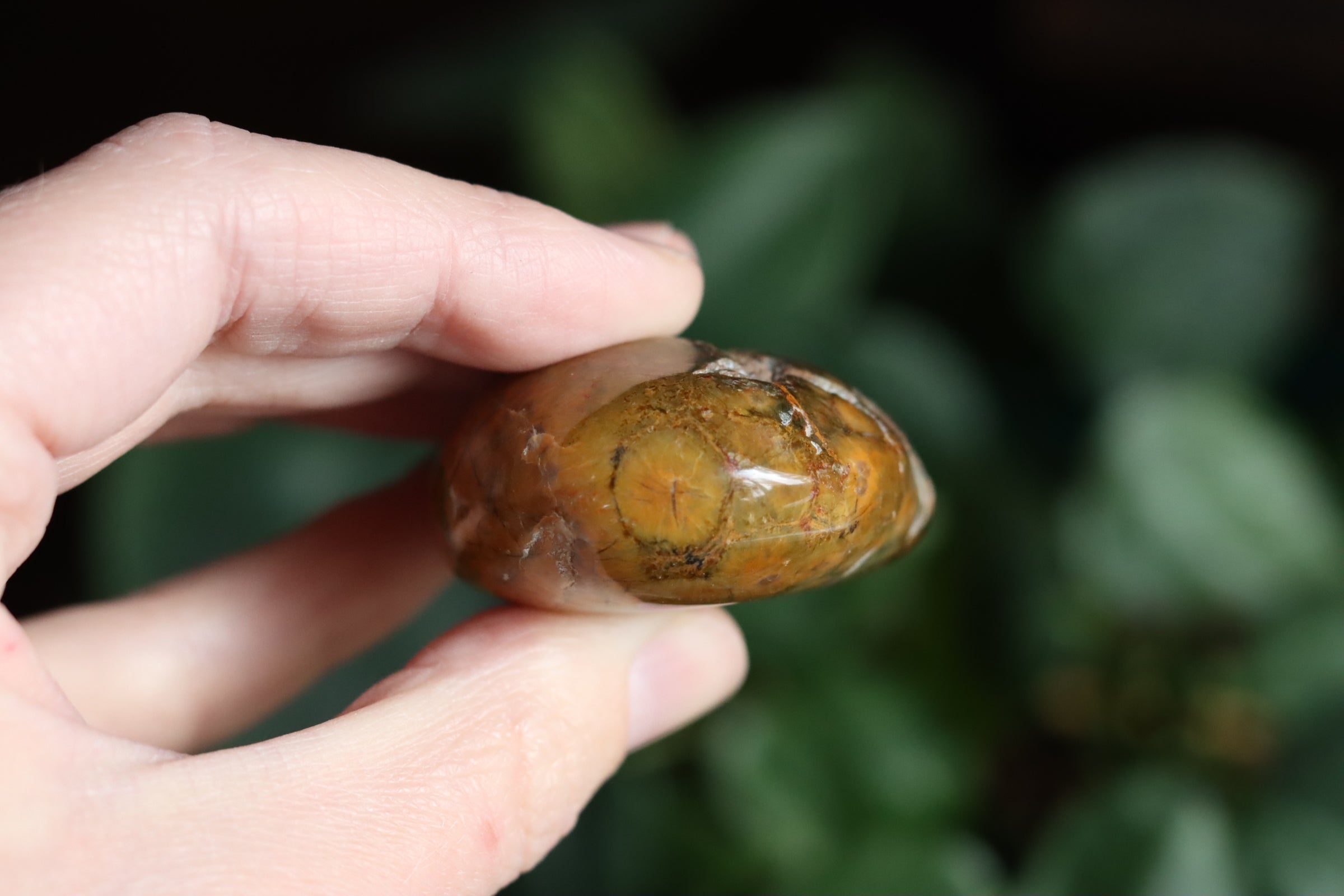 Old stock ocean jasper pocket stone OS2