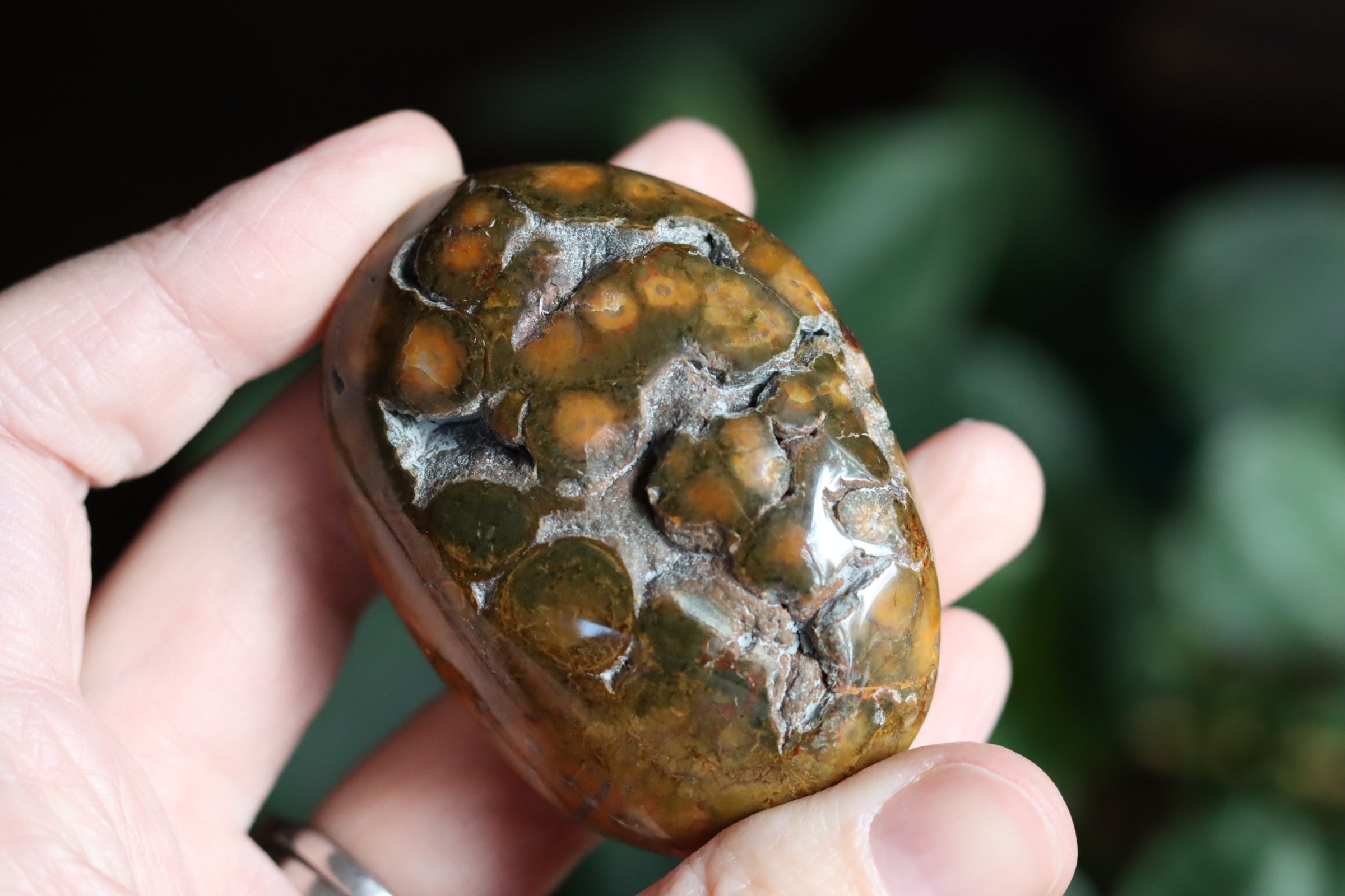 Old stock ocean jasper pocket stone OS2