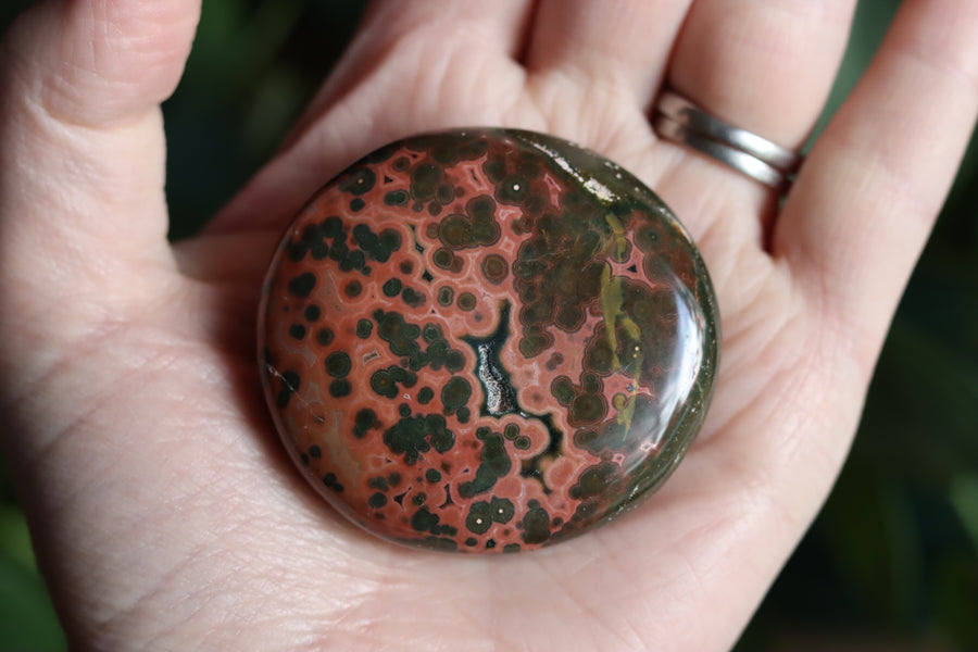 Old stock ocean jasper pocket stone OS4